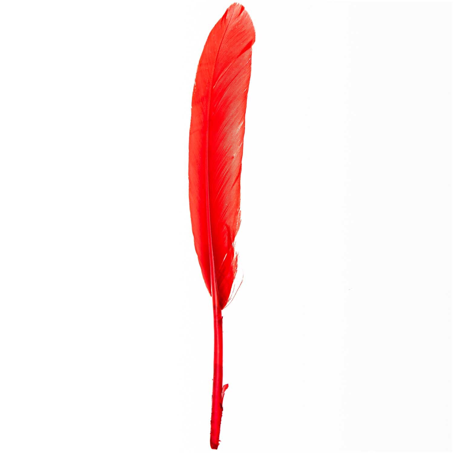 Rot