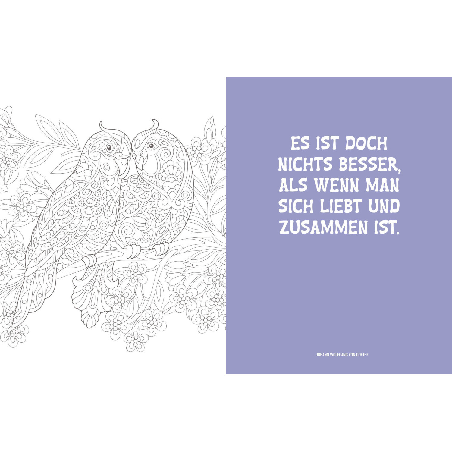Colorful Mandala - Tierisch verliebt: Zwei detaillierte Vögel auf Blumen, Zitat auf lila Hintergrund.