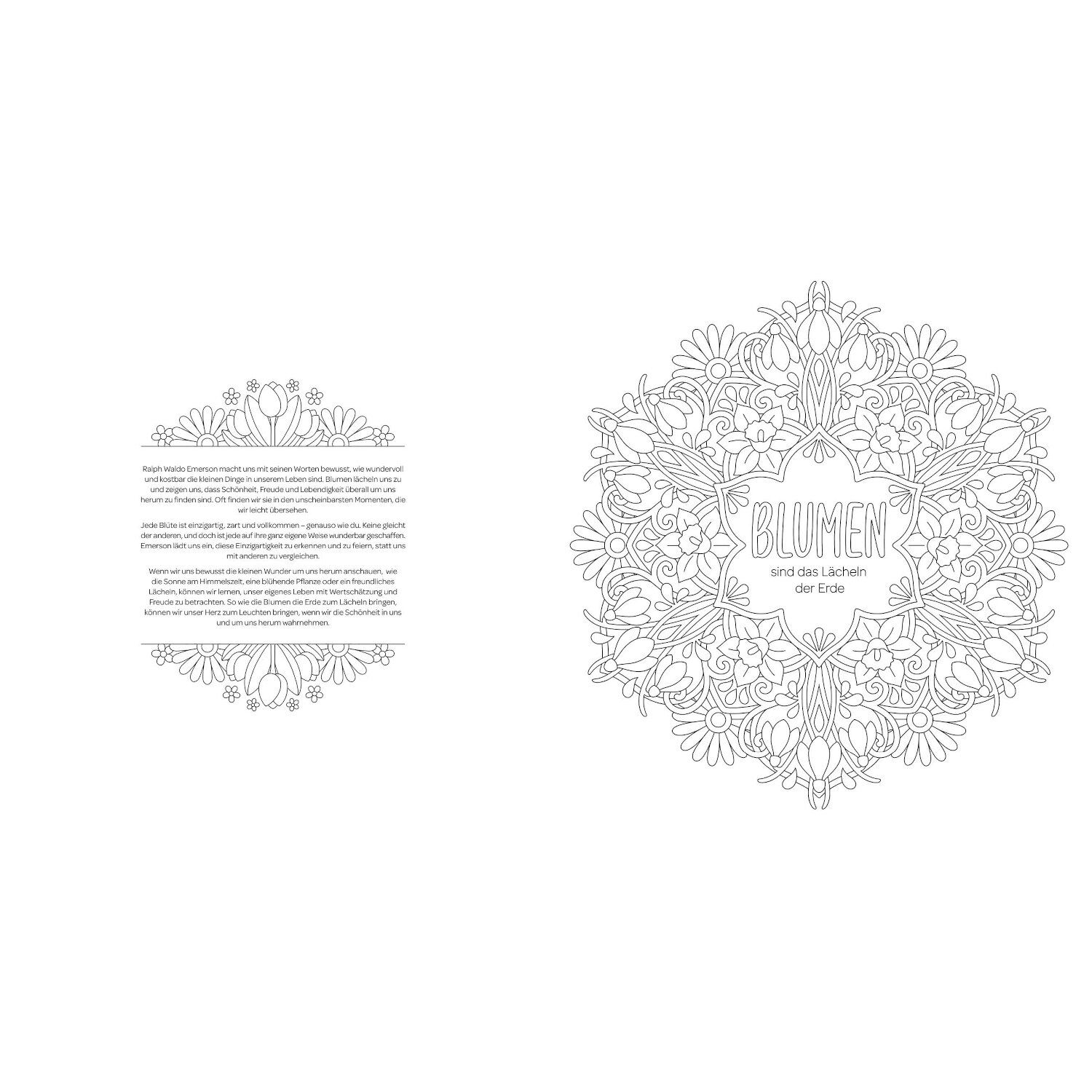 Mandala-Weisheiten von Edition Michael Fischer 