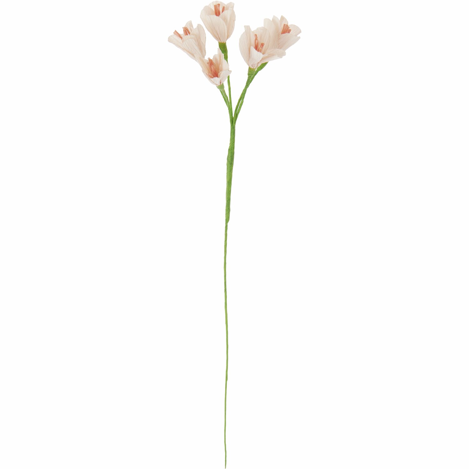 Papierblume Freesie Powder