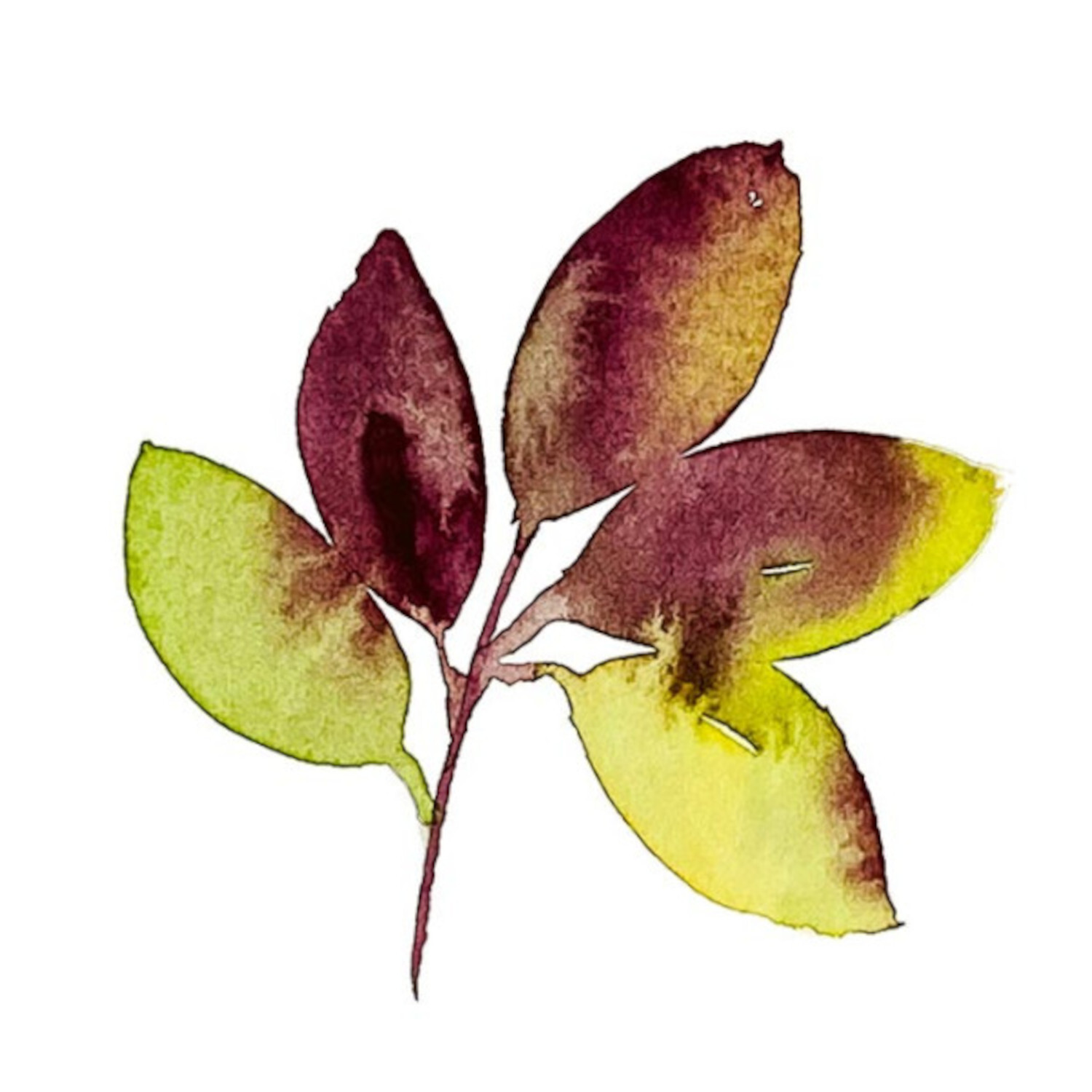 Watercolor malen - Schnelles Wissen in 30 Minuten: Aquarellblatt in Rot- und Gelbtönen.