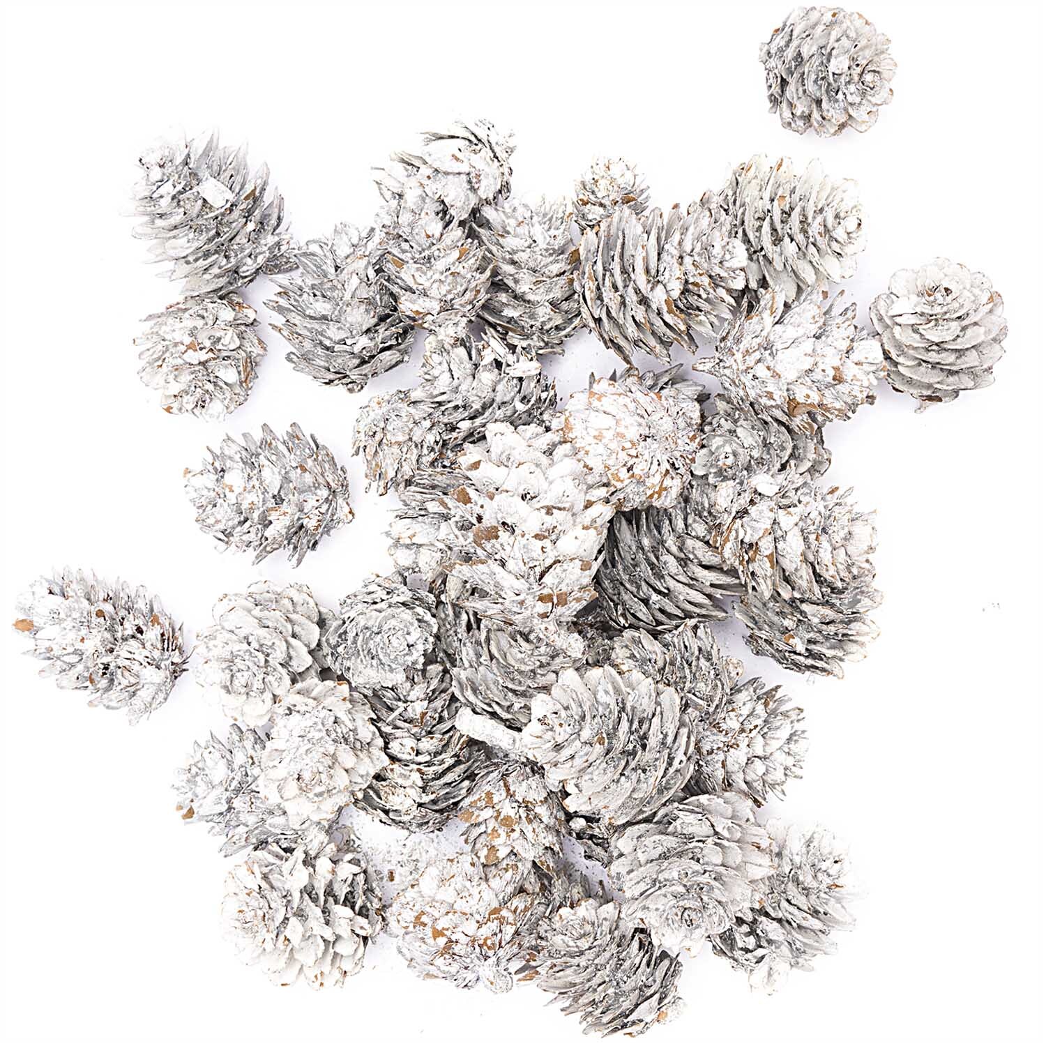 Zapfen klein weiß-natur 110g