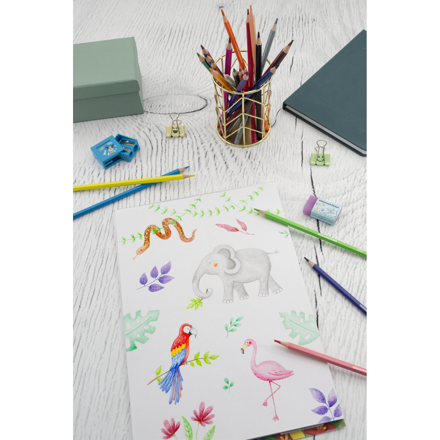 Buntstifte Colori 12 Stück von Eberhard Faber Vertrieb 