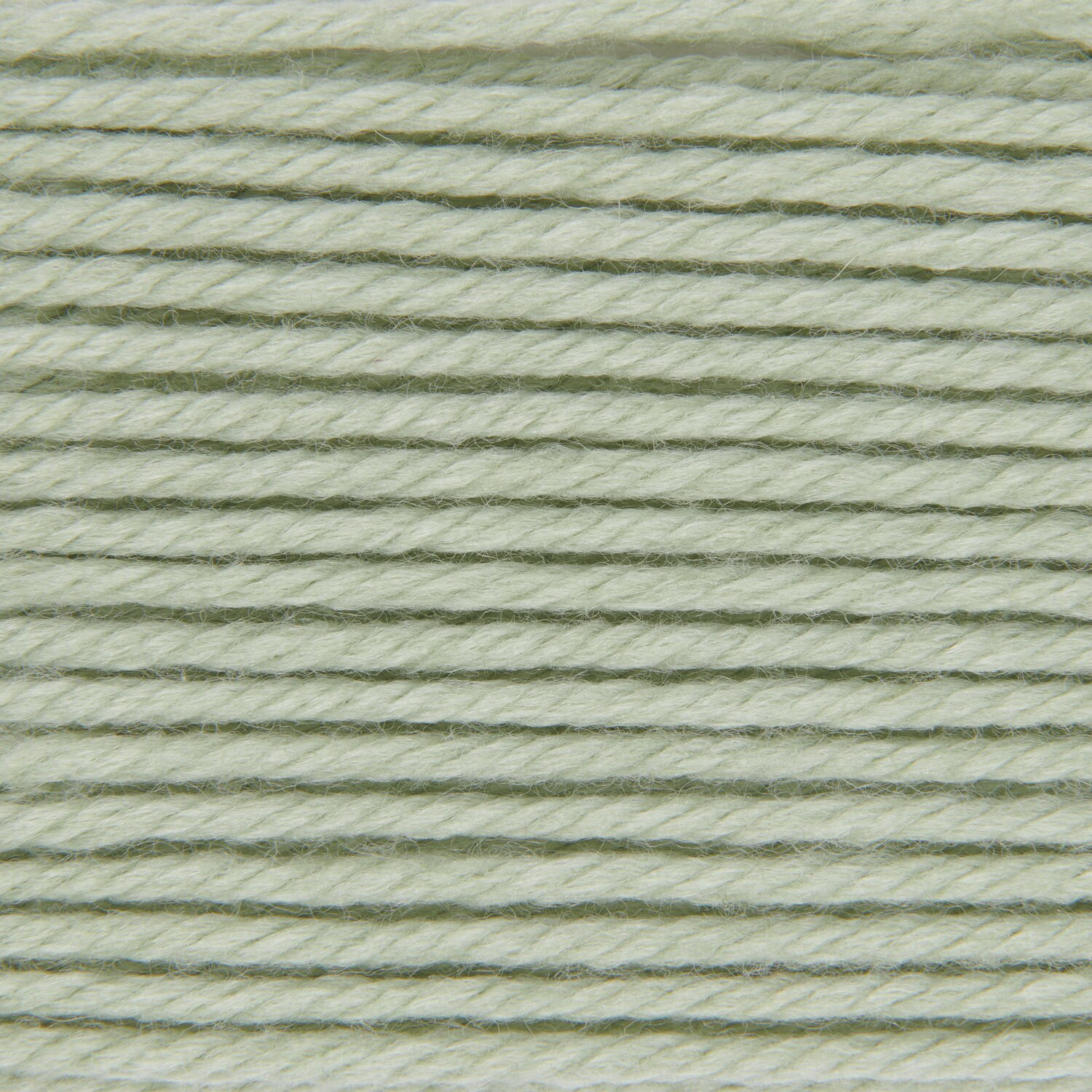 Salbei
