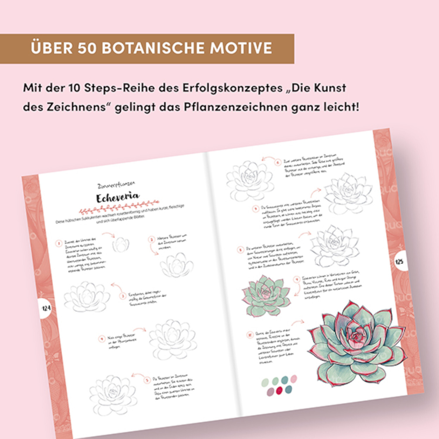 Kunst des Zeichnens 10 Steps Pflanzen: Buchseite mit botanischen Zeichnungen und Anleitungen.