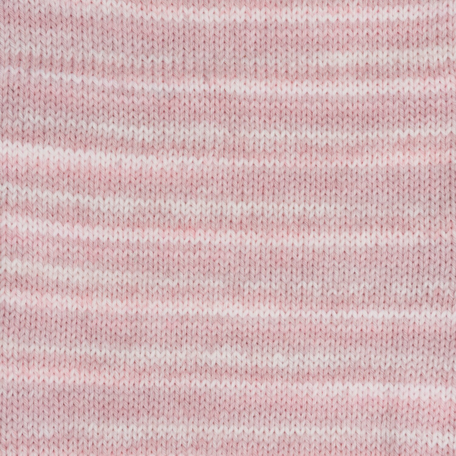 Rosa Mix