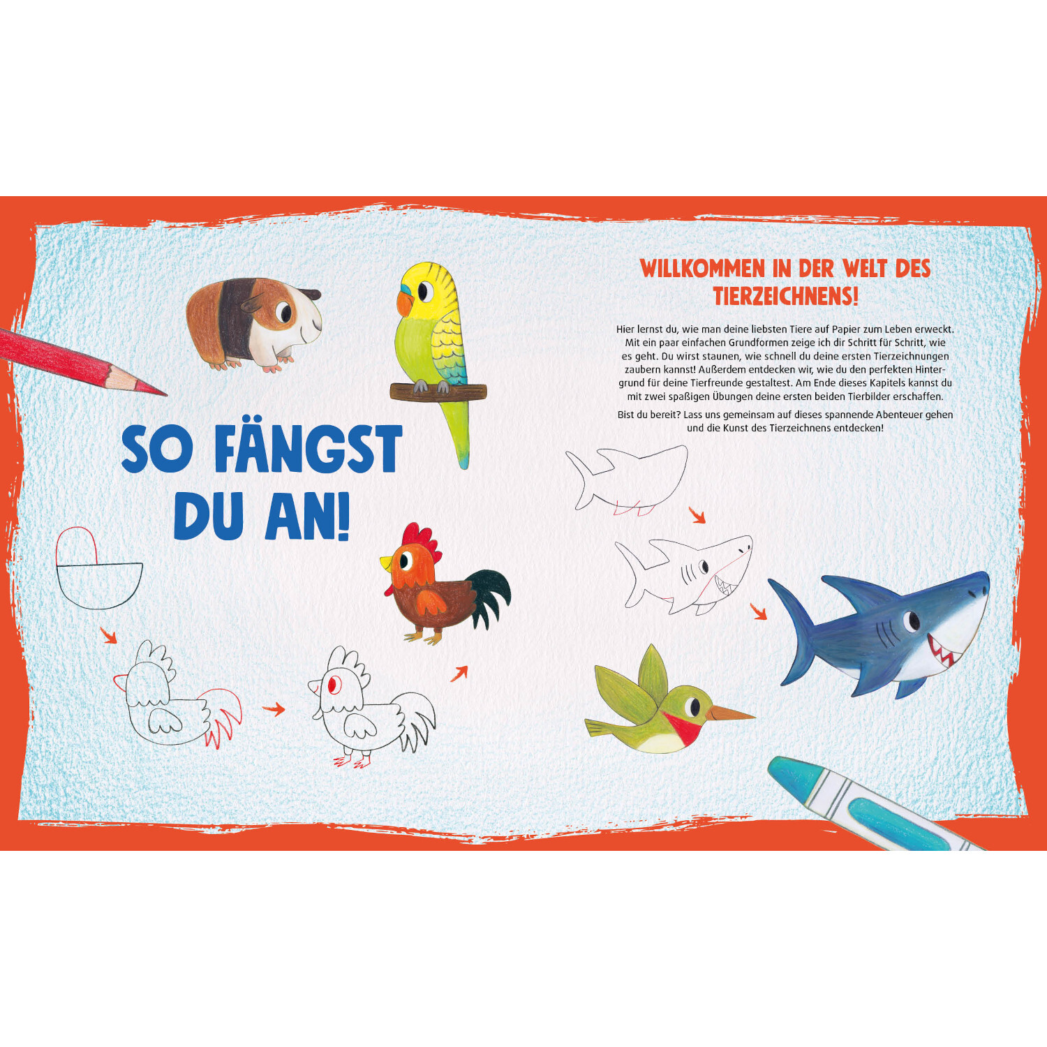 Tiere zeichnen für Kids: Bunte Anleitung zum Zeichnen von Tieren mit Schritt-für-Schritt-Bildern.
