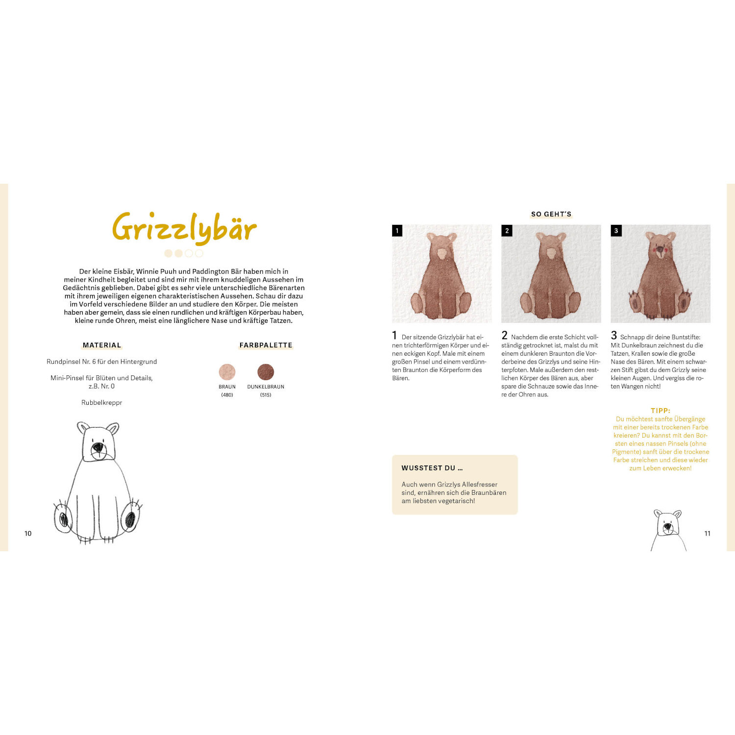 Mini Watercolor - Tiere: Anleitung zur Aquarellmalerei eines Grizzlybären mit Schritt-für-Schritt-Bildern und Farbvorschlägen in Braun.