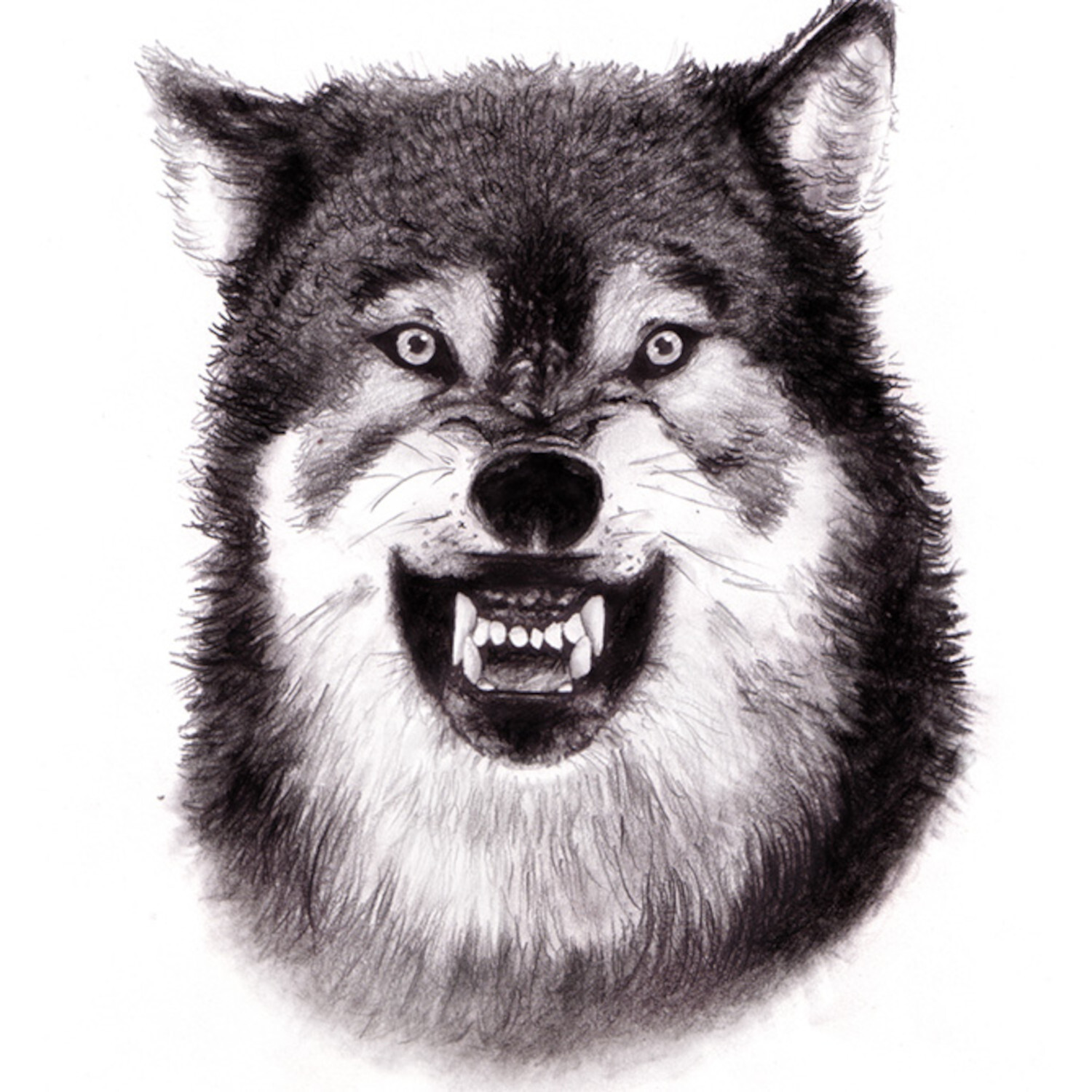 Ganz einfach zeichnen von frechverlag