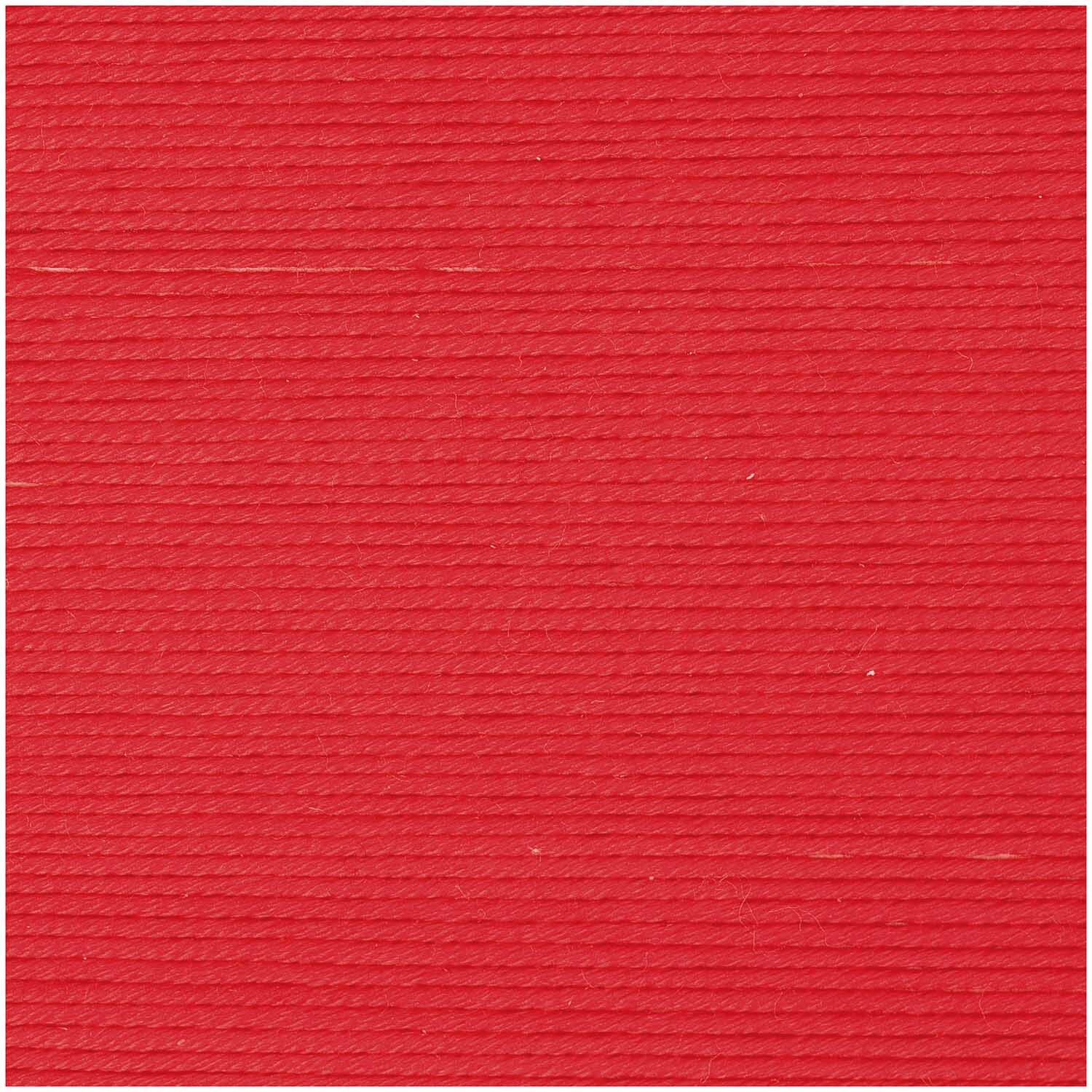 Rot