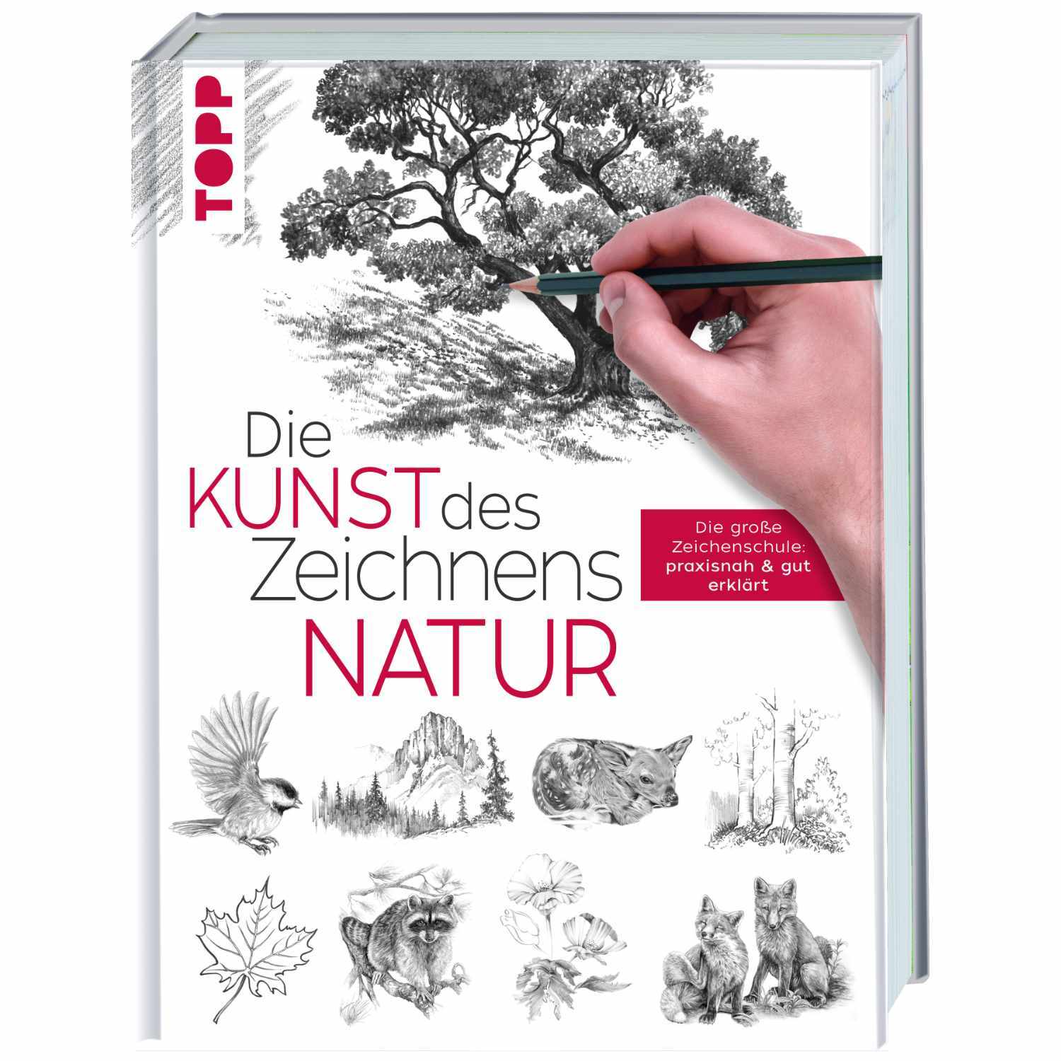 Die Kunst des Zeichnens - Natur