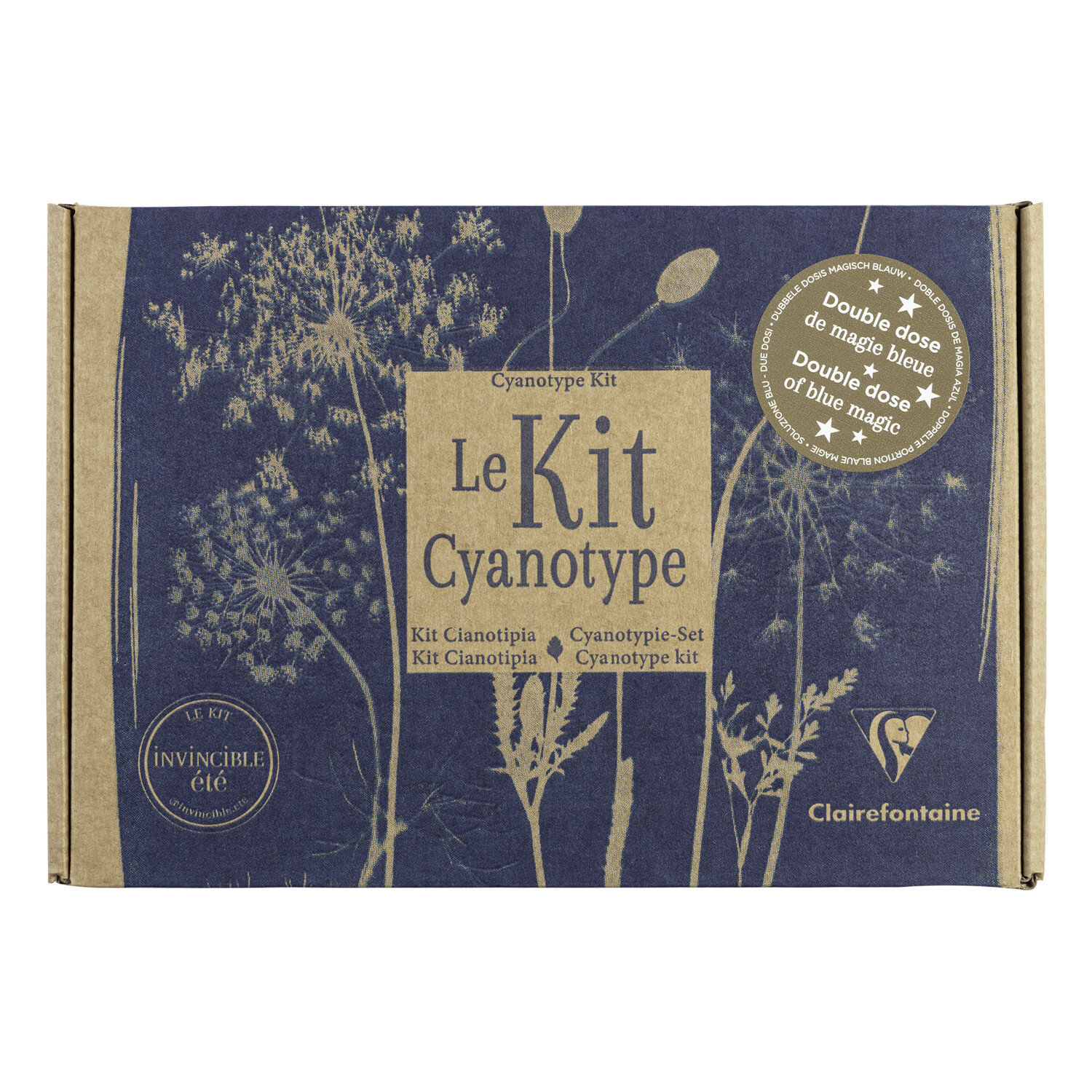 Kreativset Cyanotypie von Art Select 