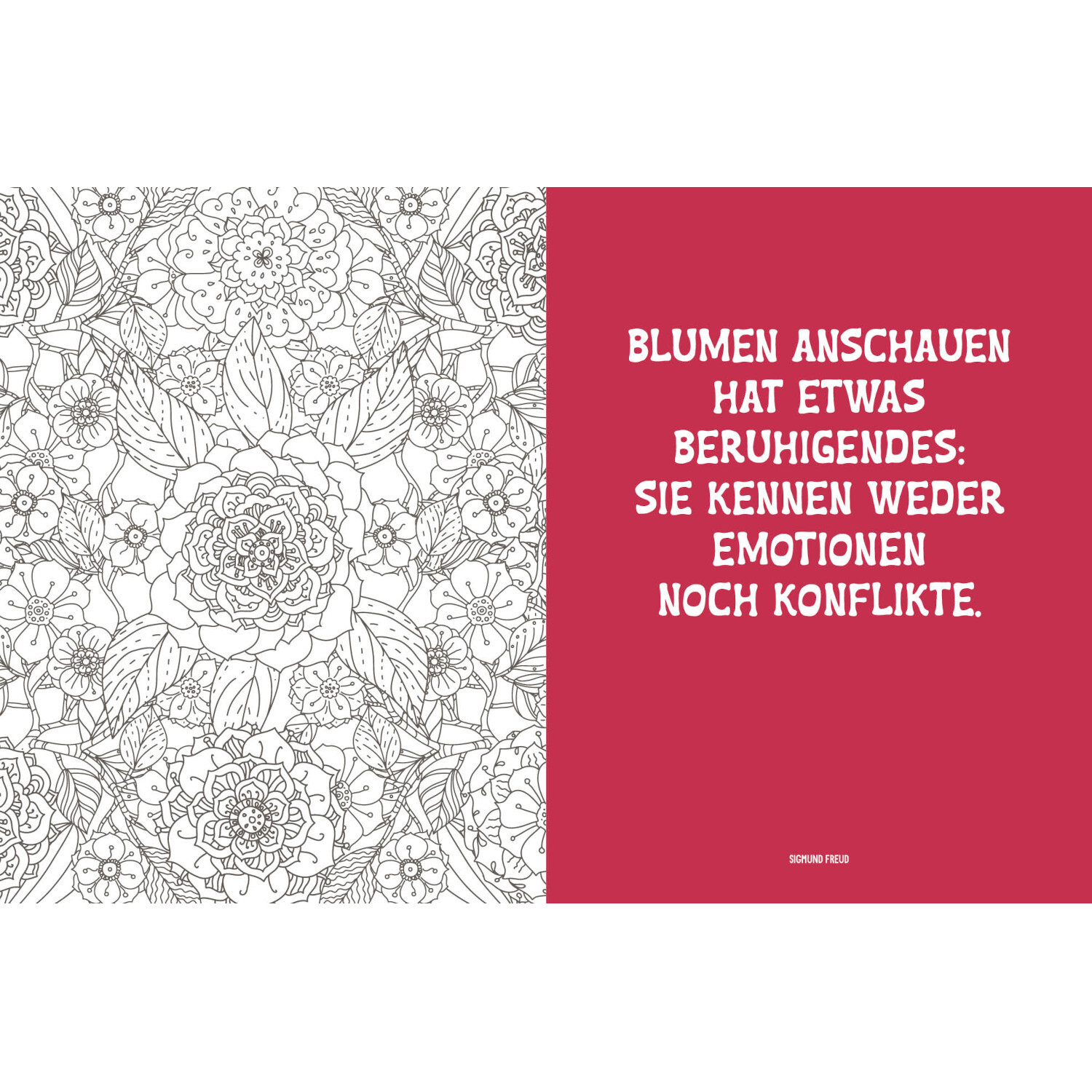 Colorful Mandala Botanischer Garten: Schwarz-weißes Blumenmuster neben rotem Zitatfeld.