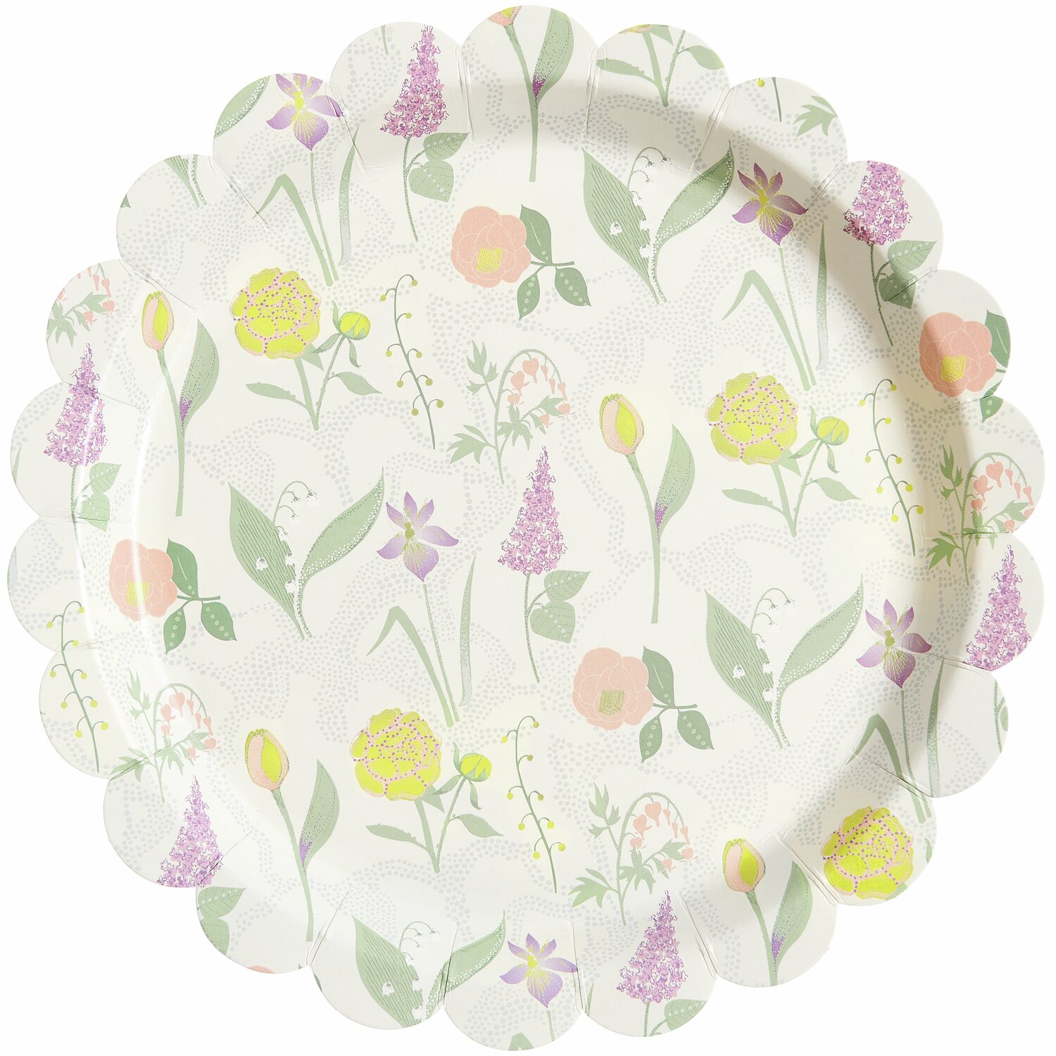Pappteller Blumenwiese 8 Stück mit floralem Muster in Pastellfarben, Ø23cm, ideal für Partys.