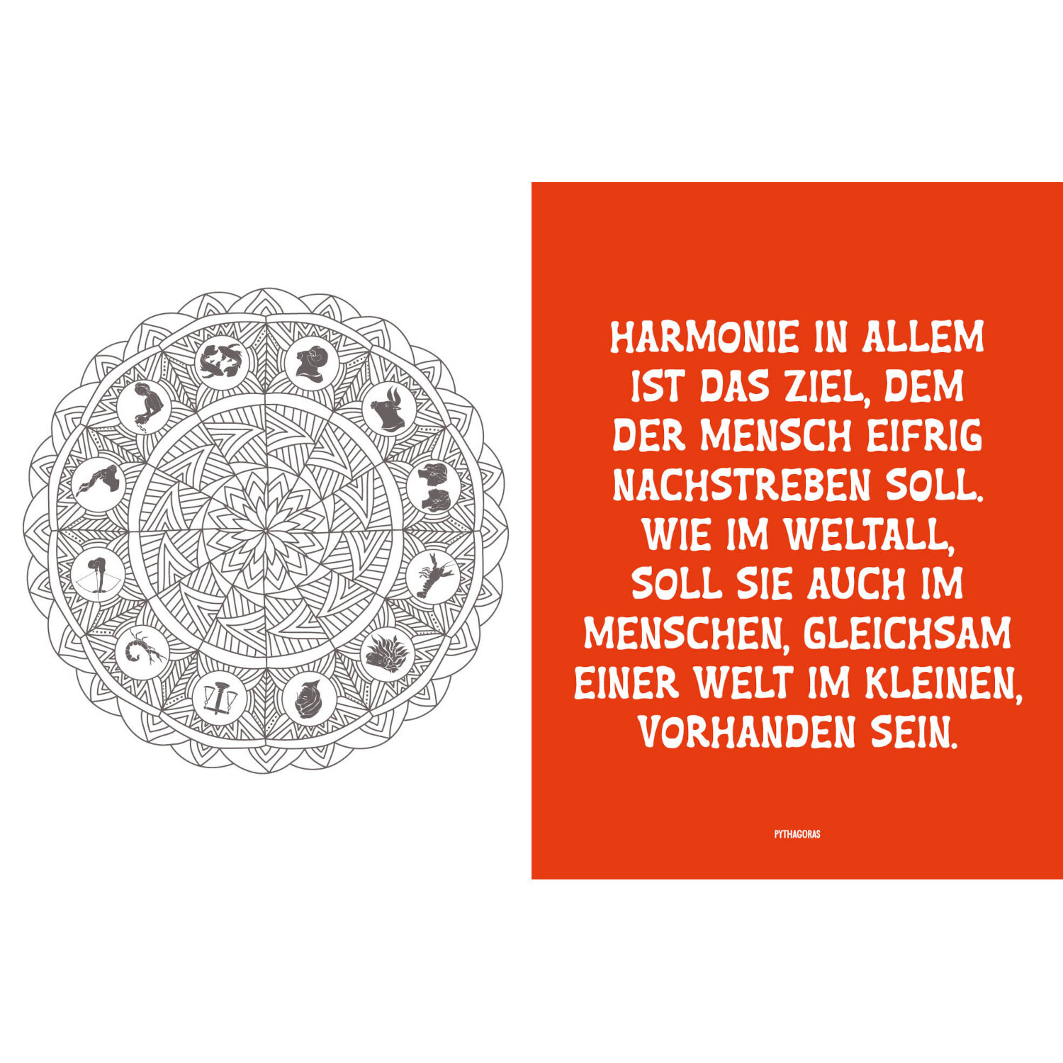 Colorful Mandala Leuchtendes Universum: Ein detailliertes Mandala mit inspirierendem Zitat auf rotem Hintergrund.