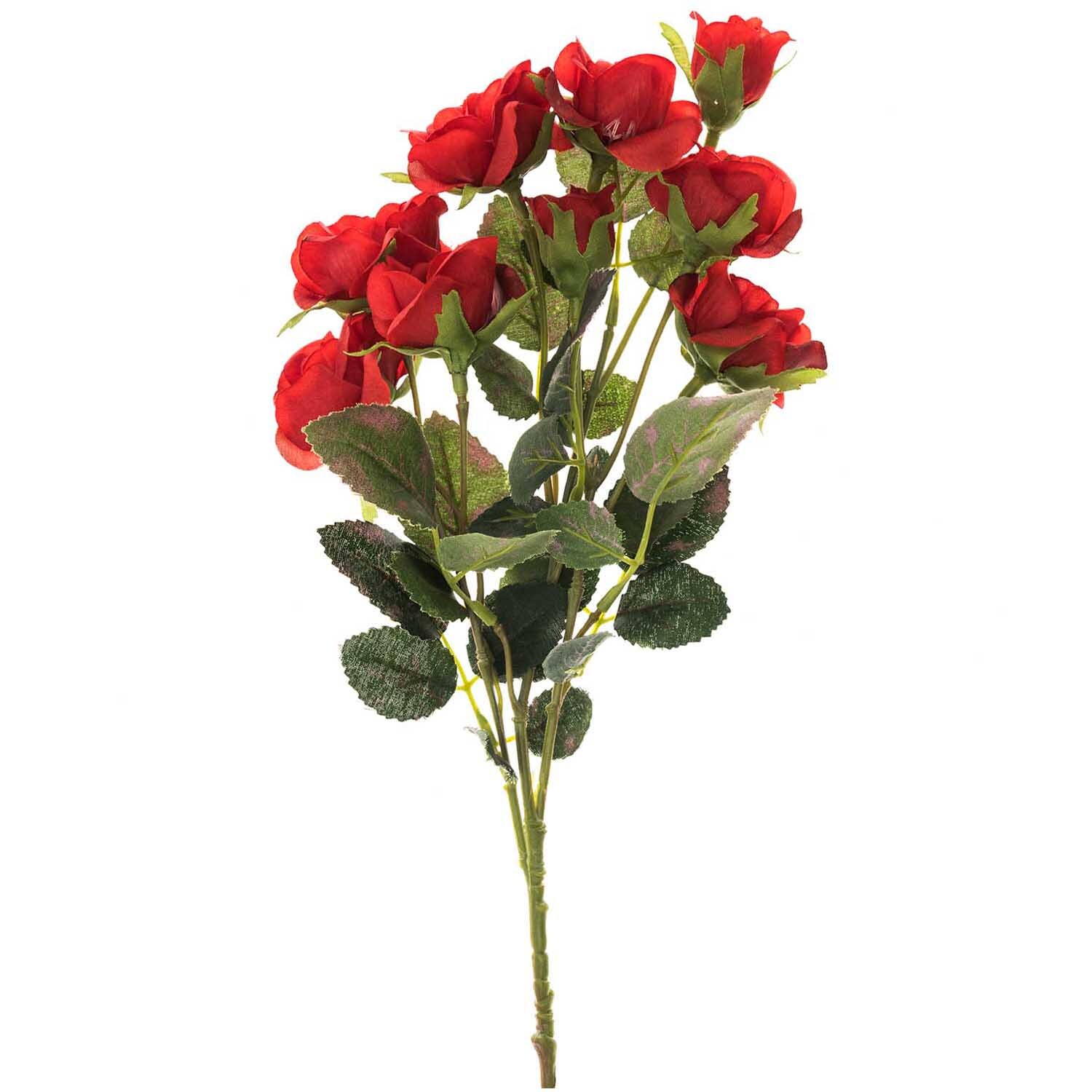 Rosenzweig 33cm