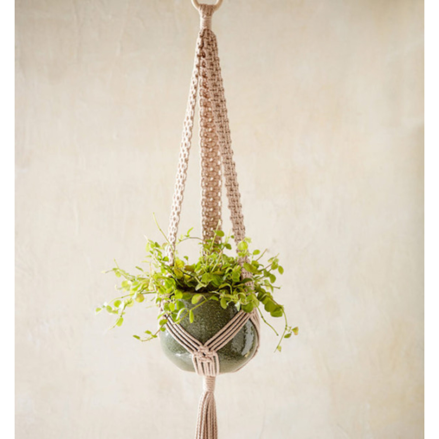 Makramee für Anfänger - Step-by-Step Einsteigerbuch: Hängender Pflanzenhalter aus beigem Makramee mit grünem Topf und Pflanzen.