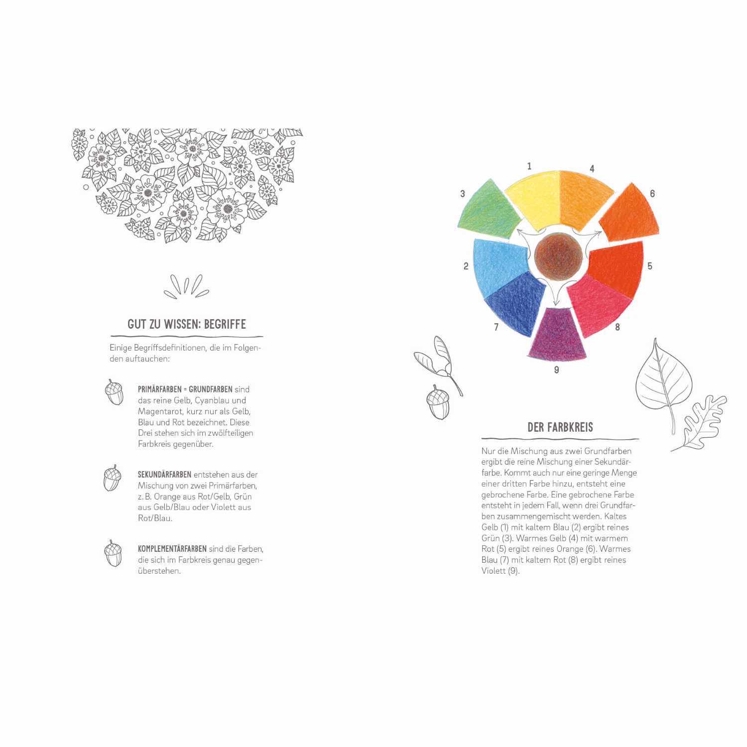 Colorful Mandala - Mandala Waldspaziergang von Edition Michael Fischer 