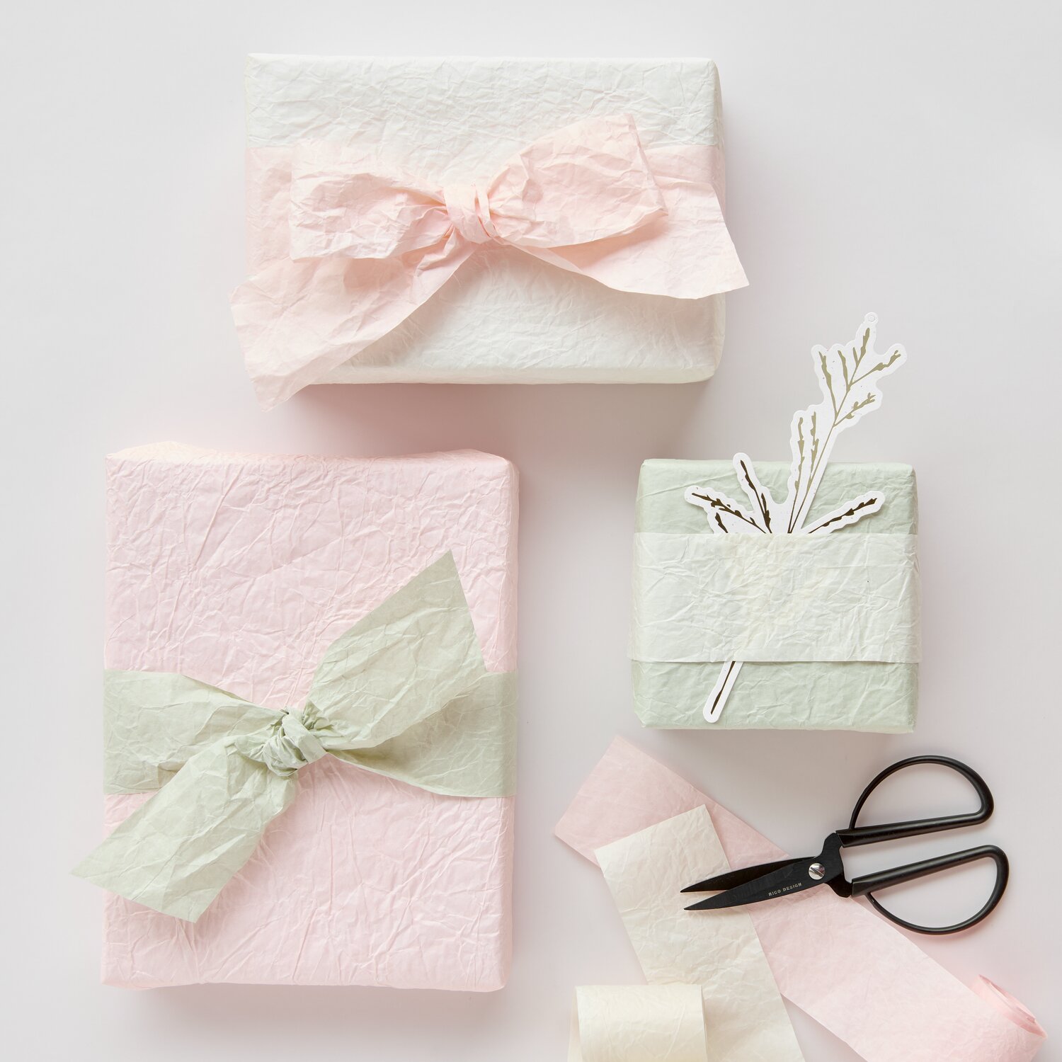 Knitter Papierbänder Elfenbein/Apricot/Schilf, dekorativ um pastellige Geschenke gewickelt, mit Schleifen, Anhänger mit Zweigmotiv und schwarzer Schere daneben