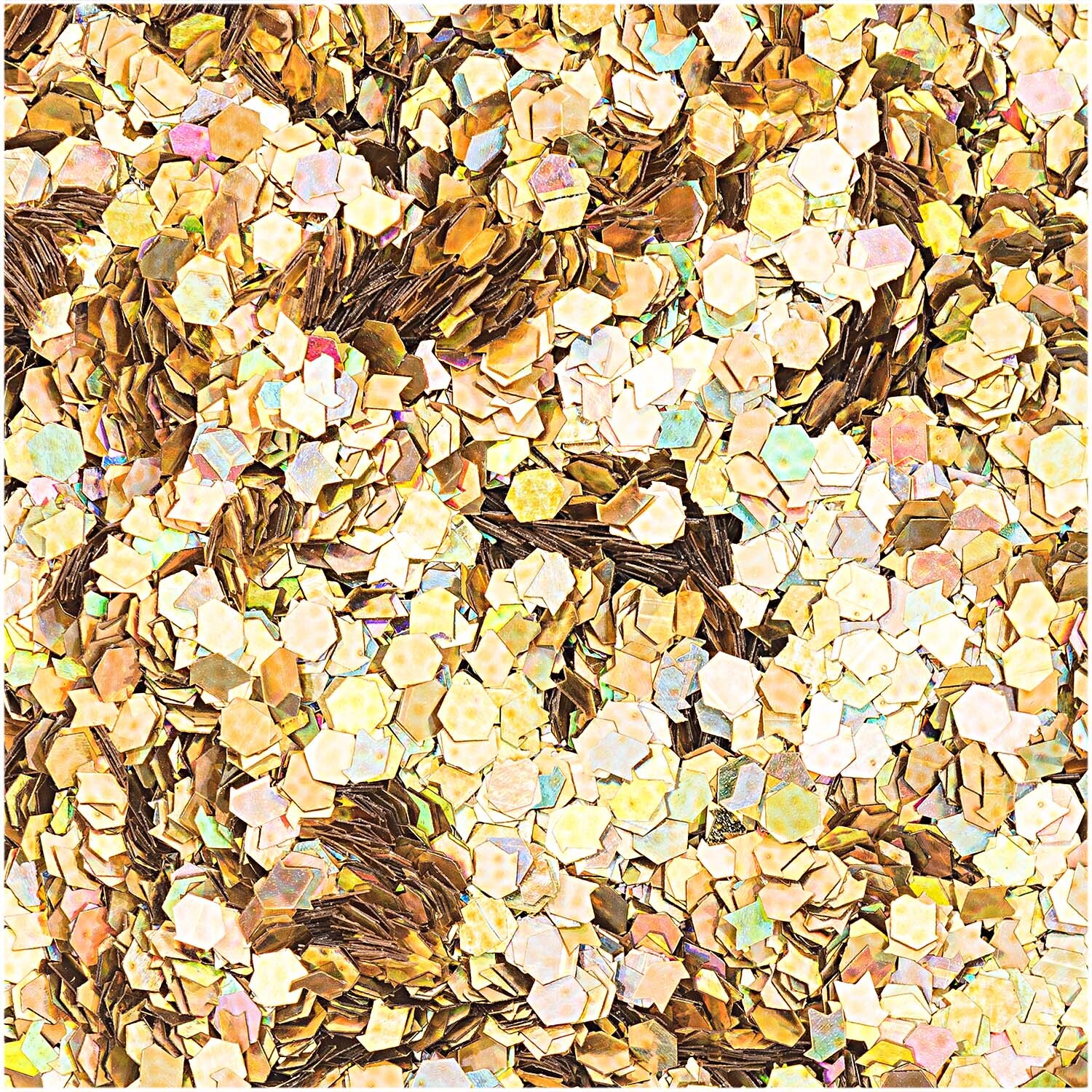Hologramm Glitter große Flakes 6g