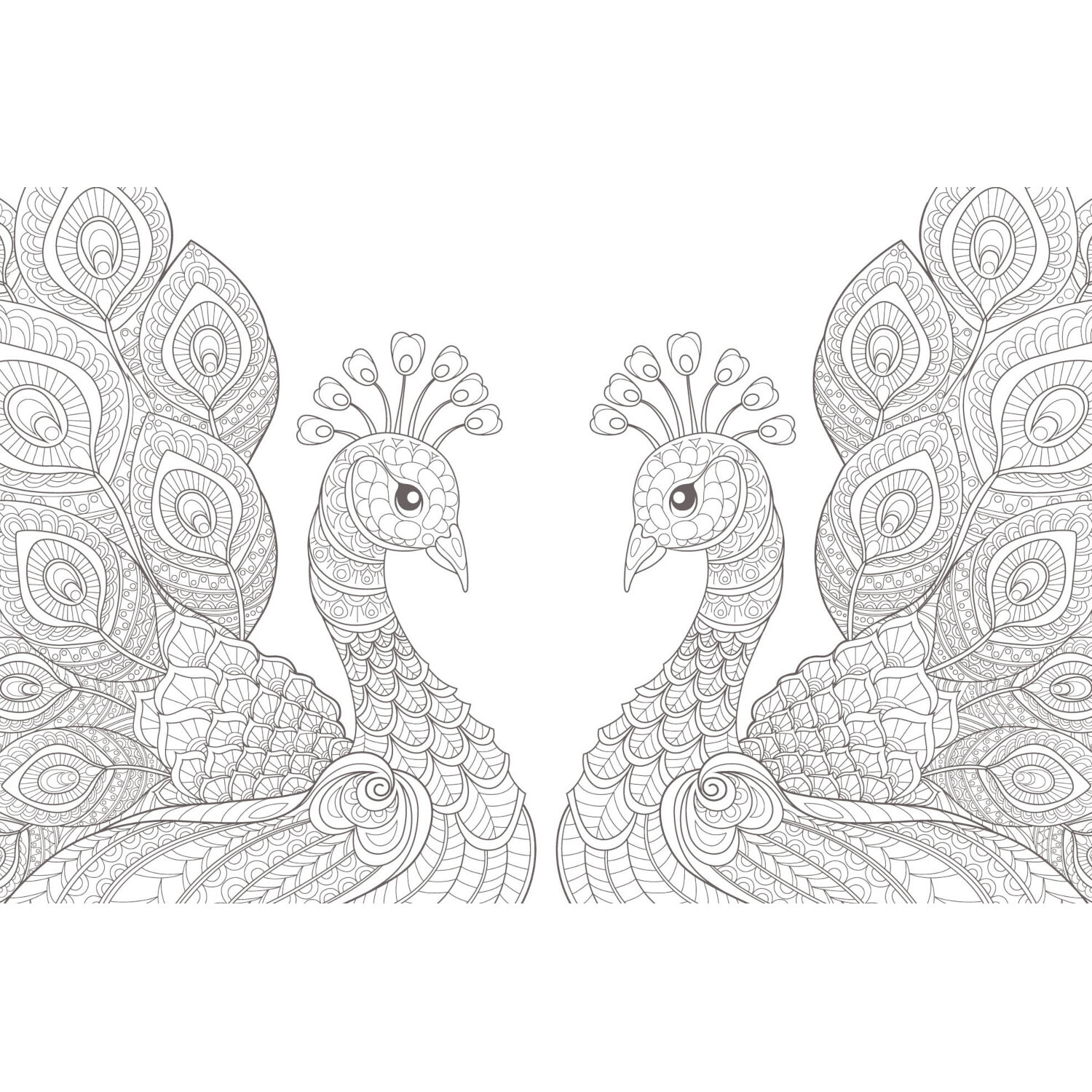 Colorful Mandala - Tierisch verliebt: Zwei detaillierte Pfauen-Mandalas in Schwarz-Weiß, ideal zum Ausmalen.