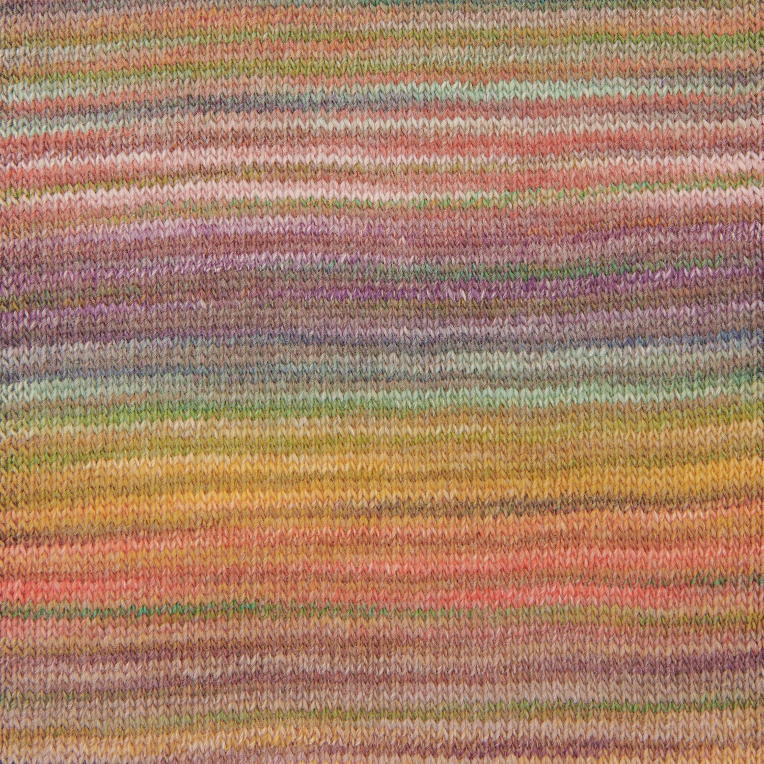Terra