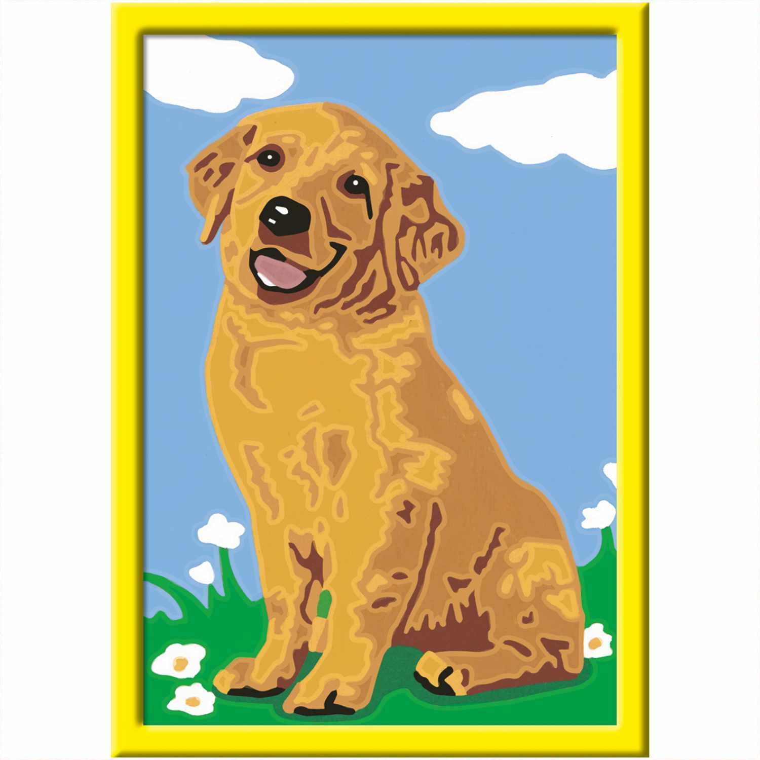 Malen nach Zahlen Kleiner Golden Retriever