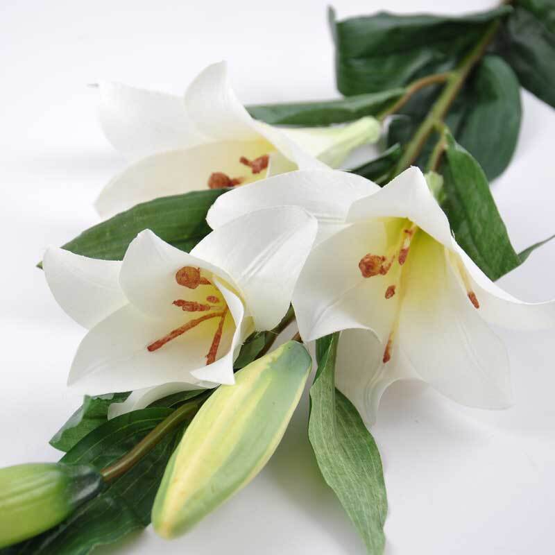 Lilie Longiflorum weiß 95cm