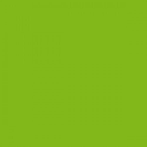 Acryl Glanzfarbe 20ml