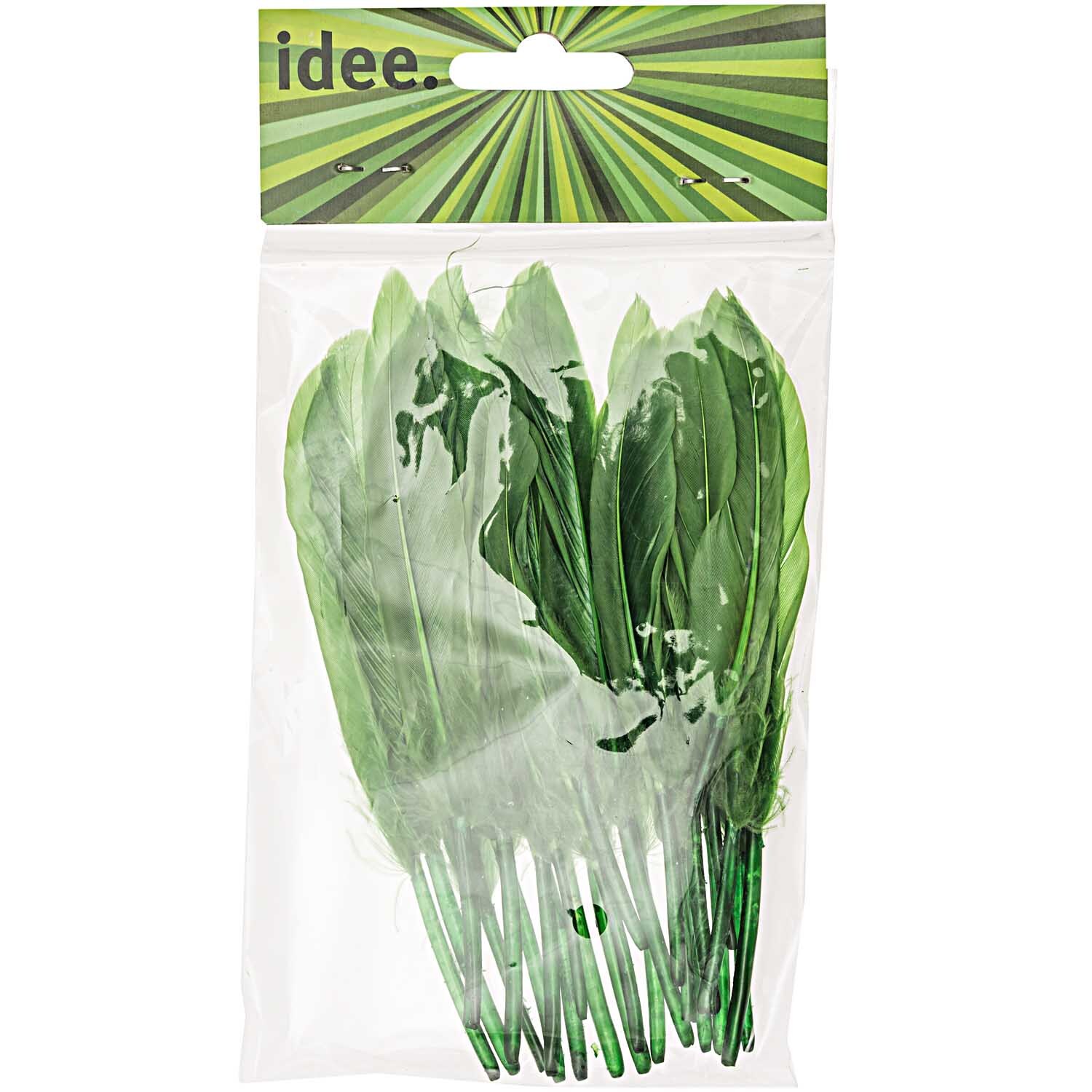 Federn 24 Stück: Ein Set aus grünen Federn von idee. Creativmarkt, ideal für kreative Bastelprojekte.