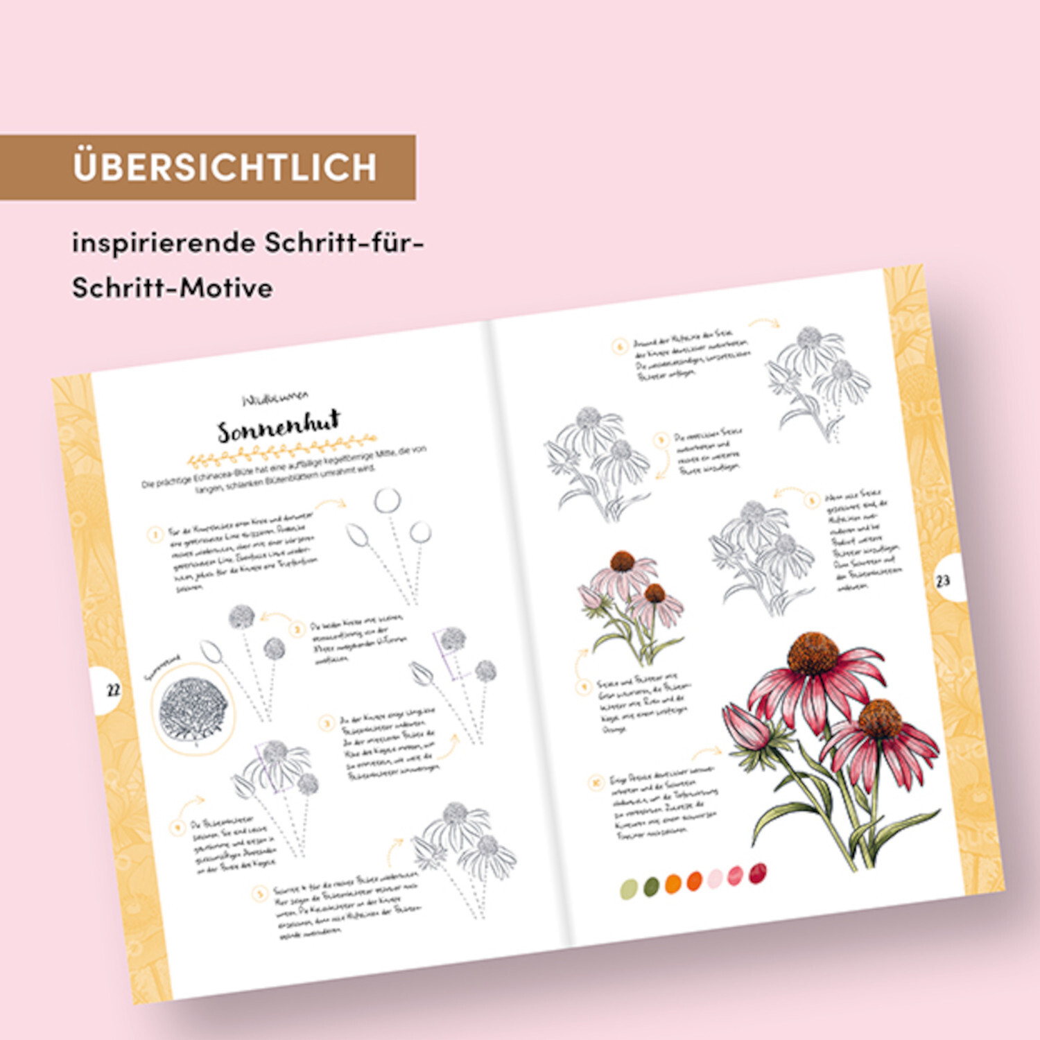 Kunst des Zeichnens 10 Steps Pflanzen von frechverlag