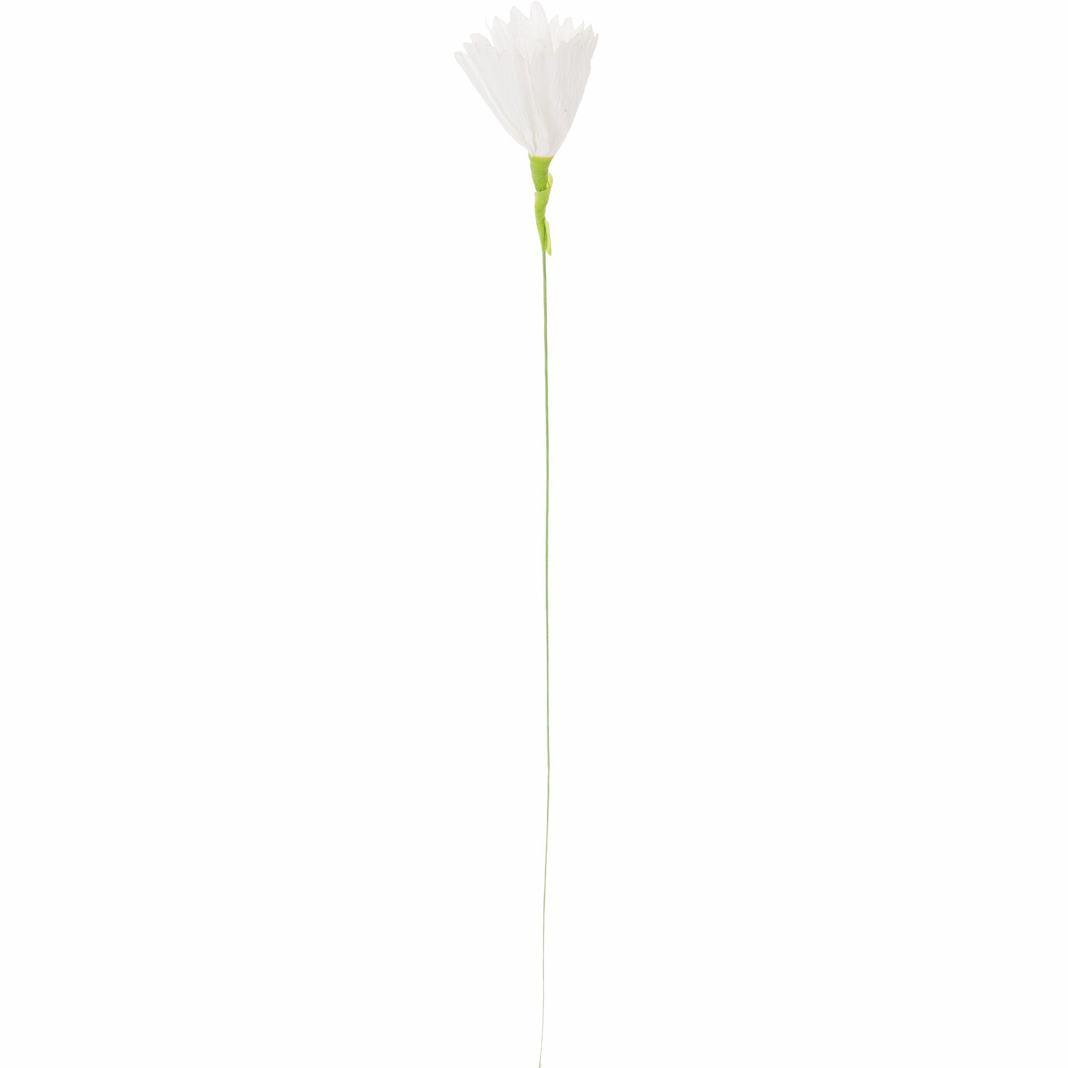 Papierblume Nelke Papierblume Nelke
