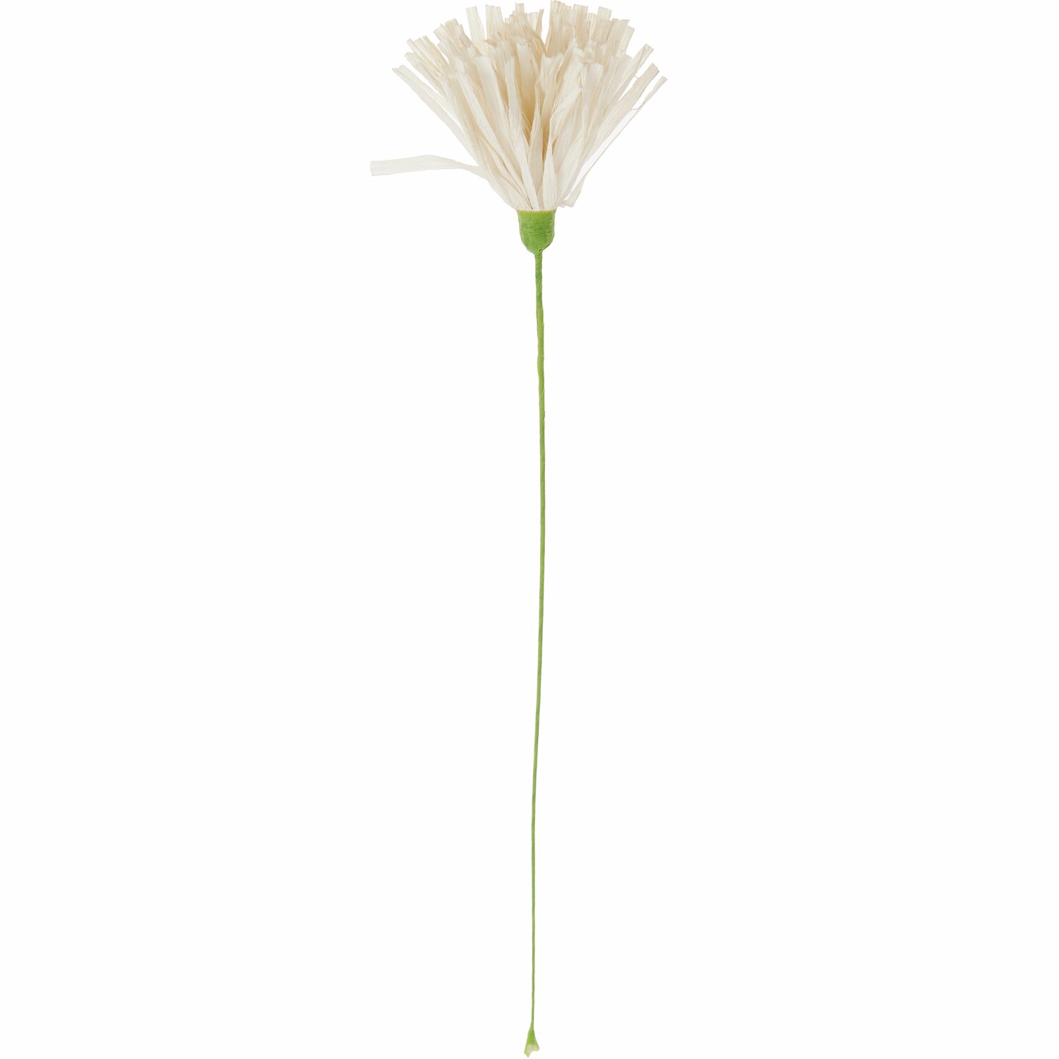 Papierblume Chrysamtheme Creme