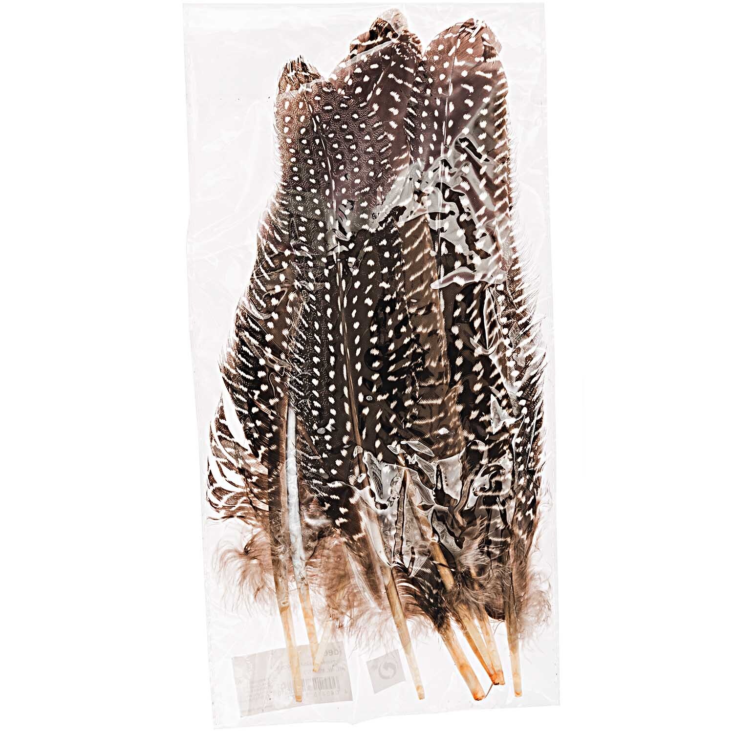Perlhuhnfedern natur 16-20cm 5g