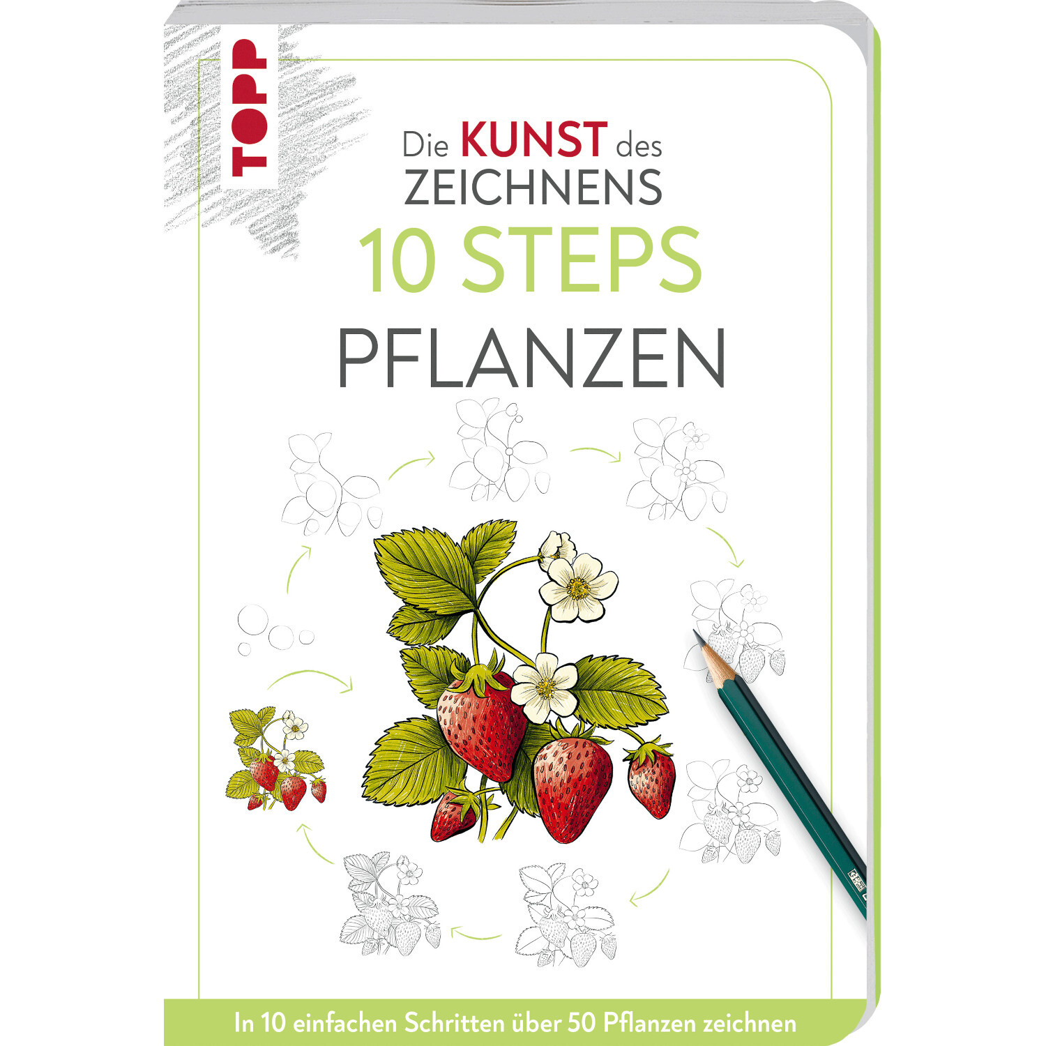Kunst des Zeichnens 10 Steps Pflanzen