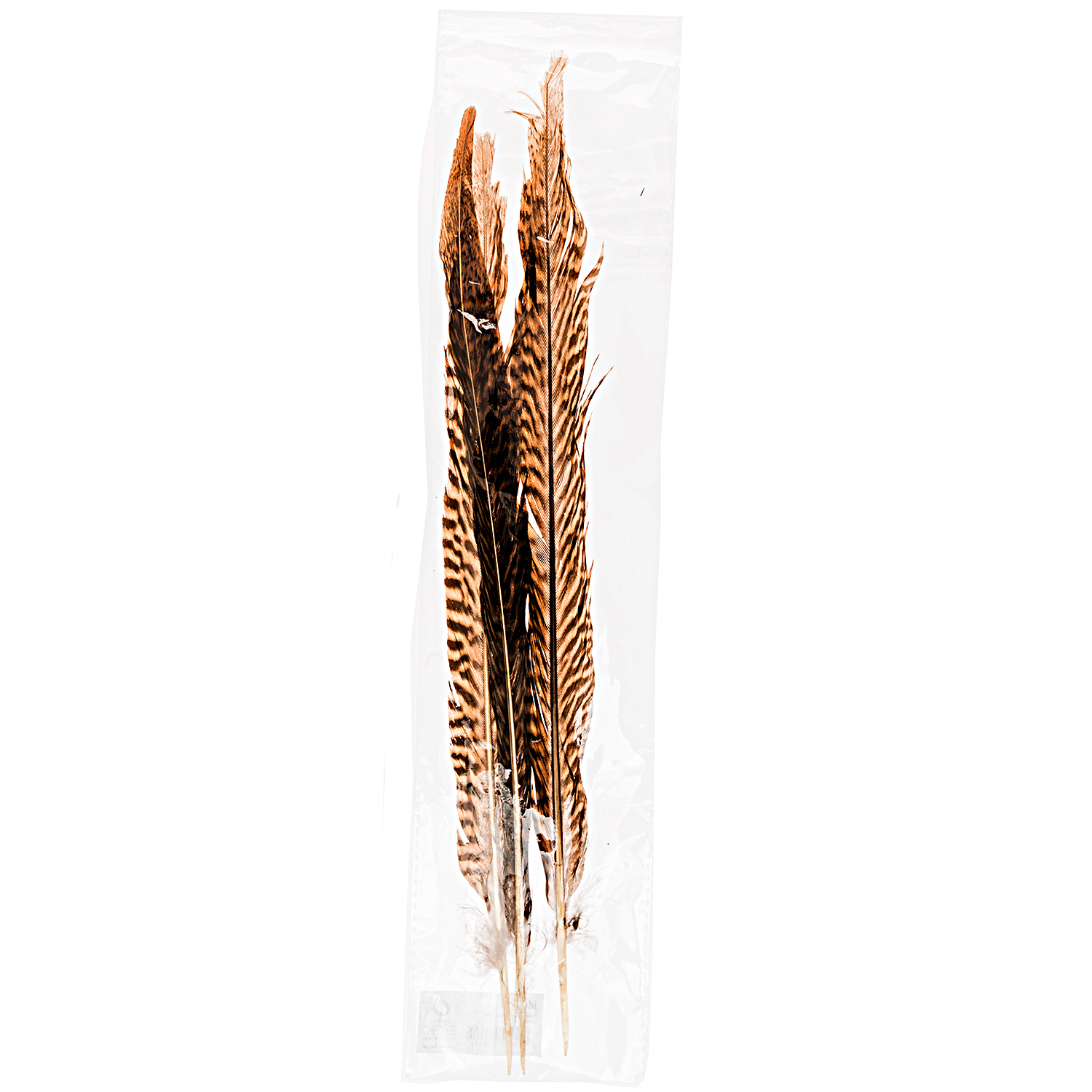 Fasanenfedern natur 30cm