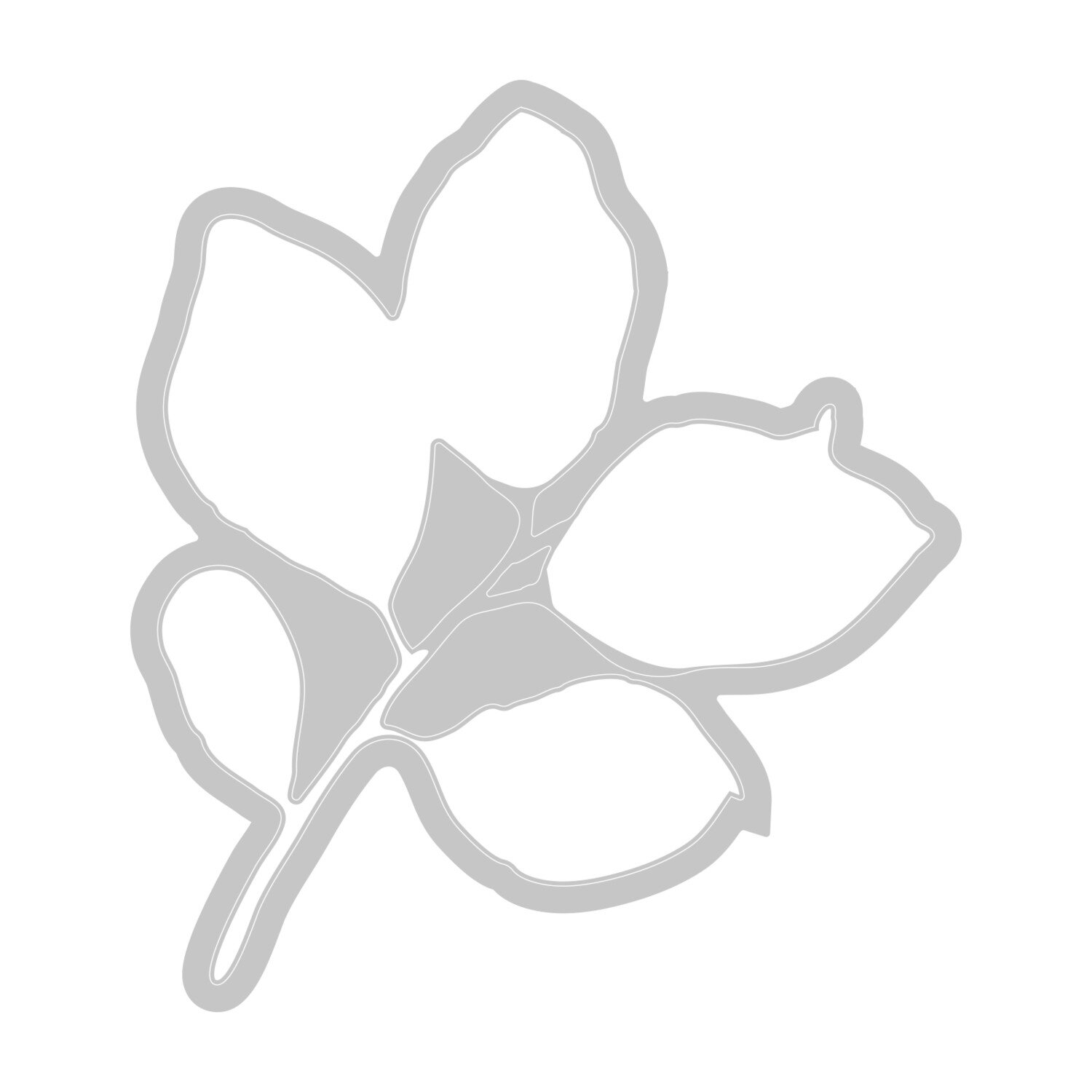 Painted Pencil Leaves Clear Stamps and Framelits Set 12-teilig von idee. Creativmarkt