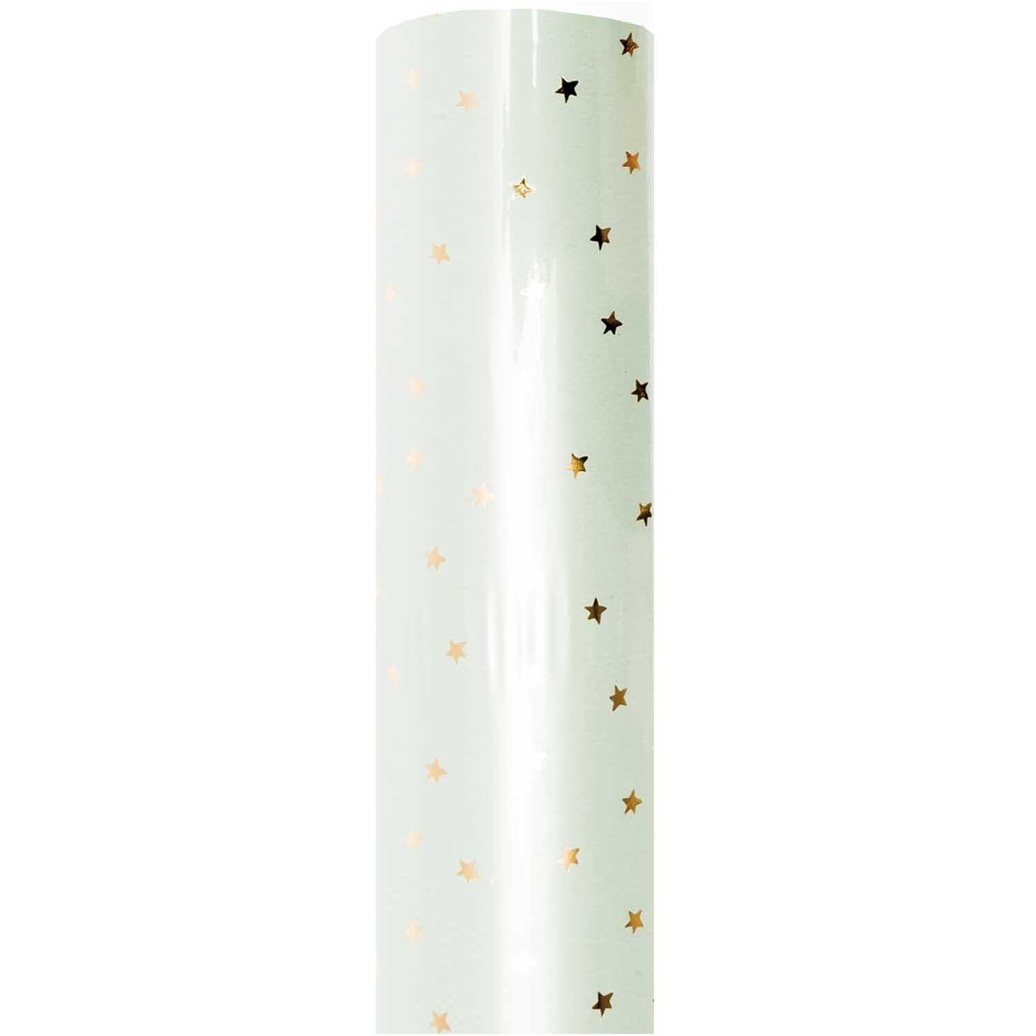 Paper Poetry Geschenkpapier Sterne mint-gold 70cm 2m Hot Foil von Rico Design