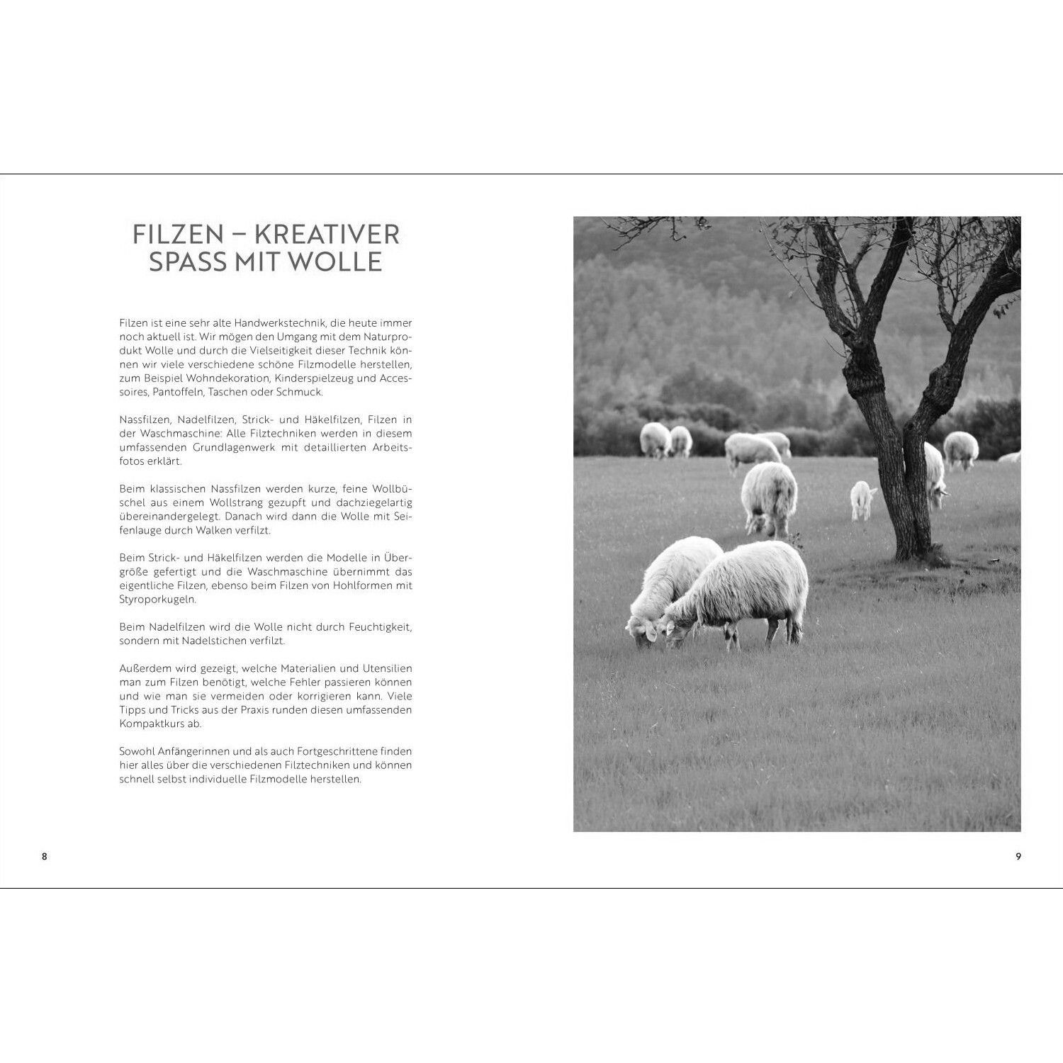 Das große Buch vom Filzen: Schafe grasen auf grüner Wiese, begleitet von Text über Filzkunst.