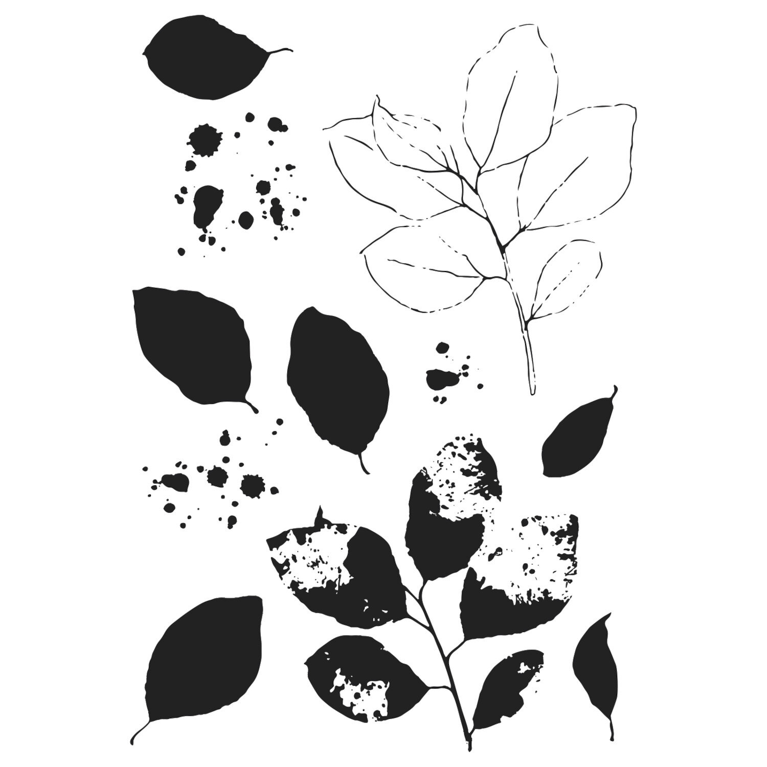 Painted Pencil Leaves Clear Stamps and Framelits Set 12-teilig von idee. Creativmarkt