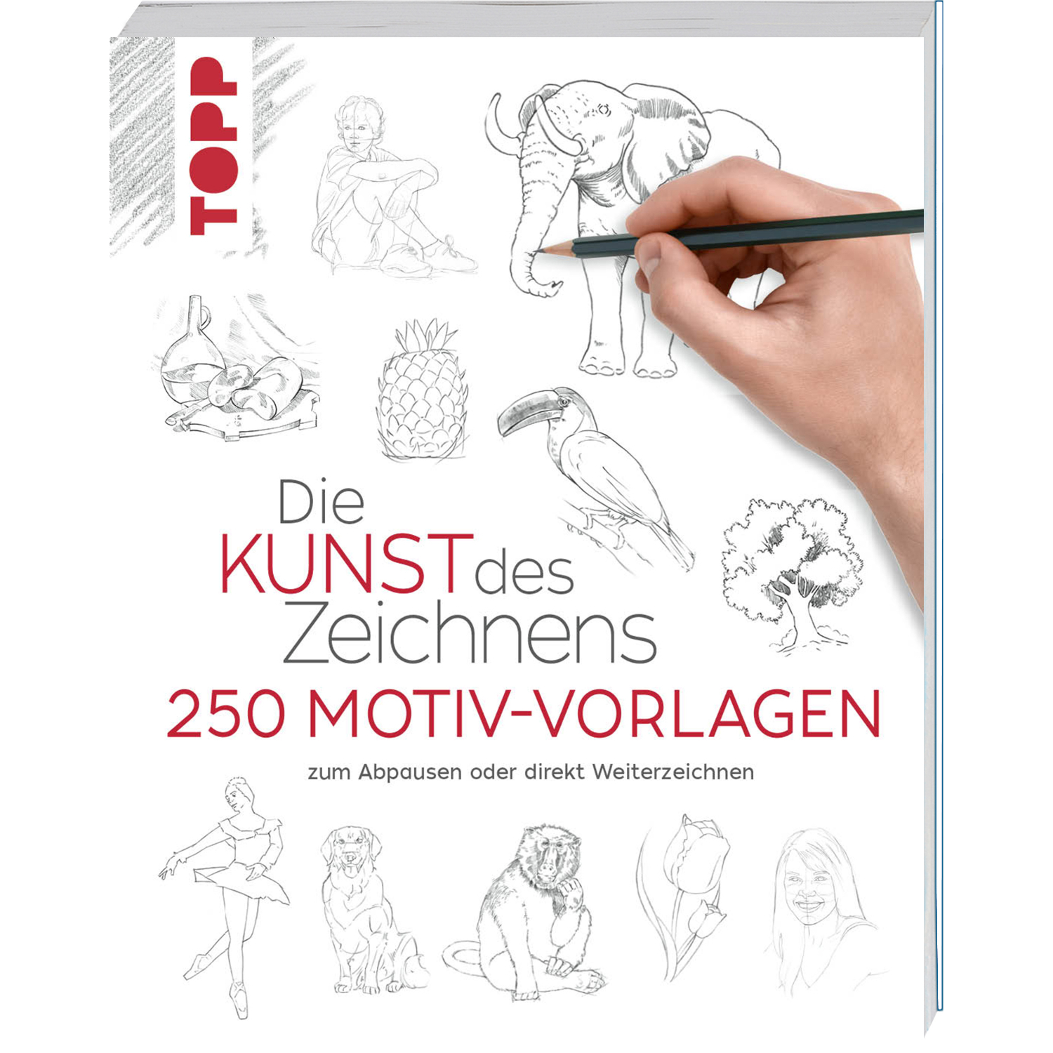 Die Kunst des Zeichnens 250 Motiv-Vorlagen