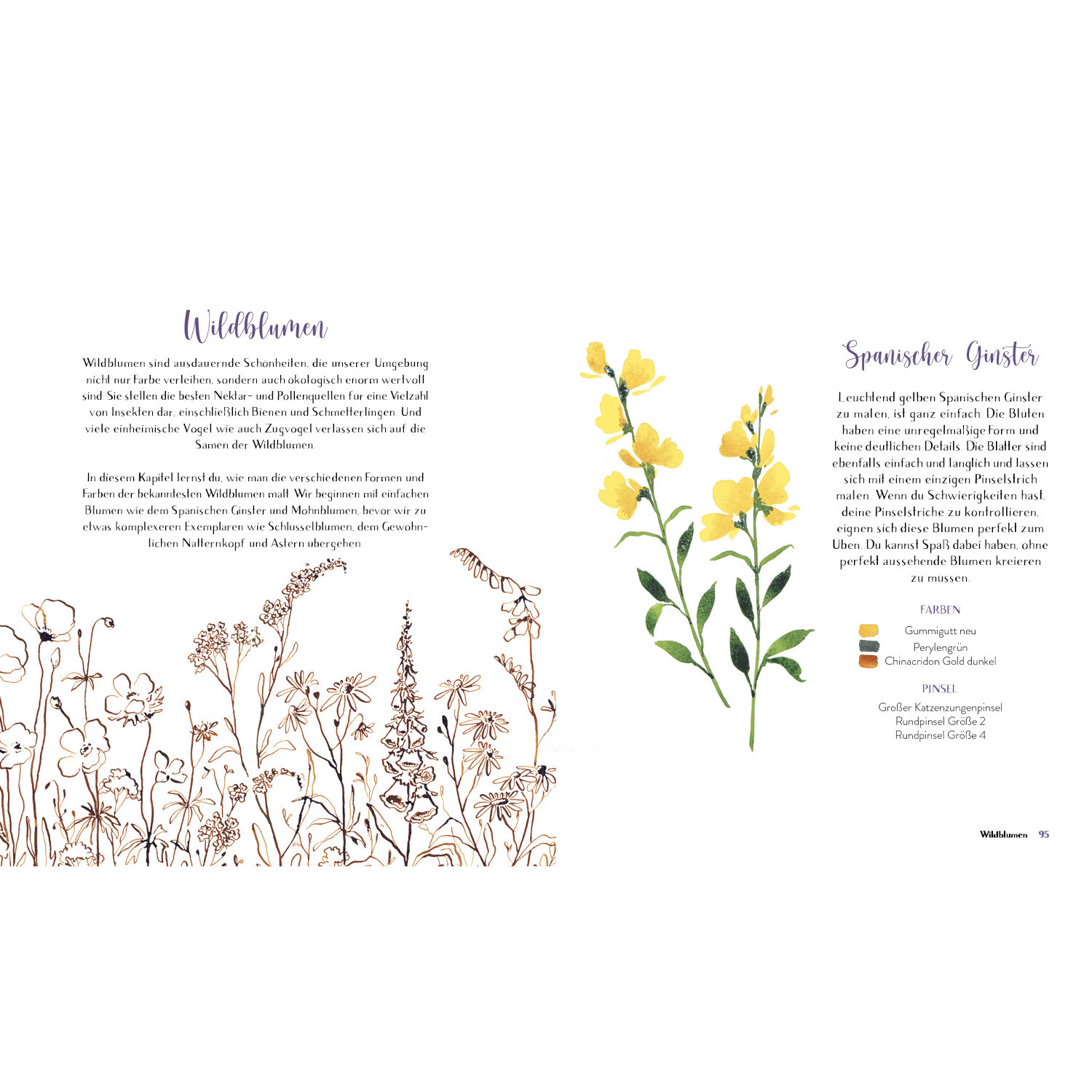Wildflower Watercolor - Blumen Aquarelle malen von Edition Michael Fischer Wildflower Watercolor - Blumen Aquarelle malen: Doppelseite mit gelben Blumenillustrationen und Text über spanische Gänseblümchen.