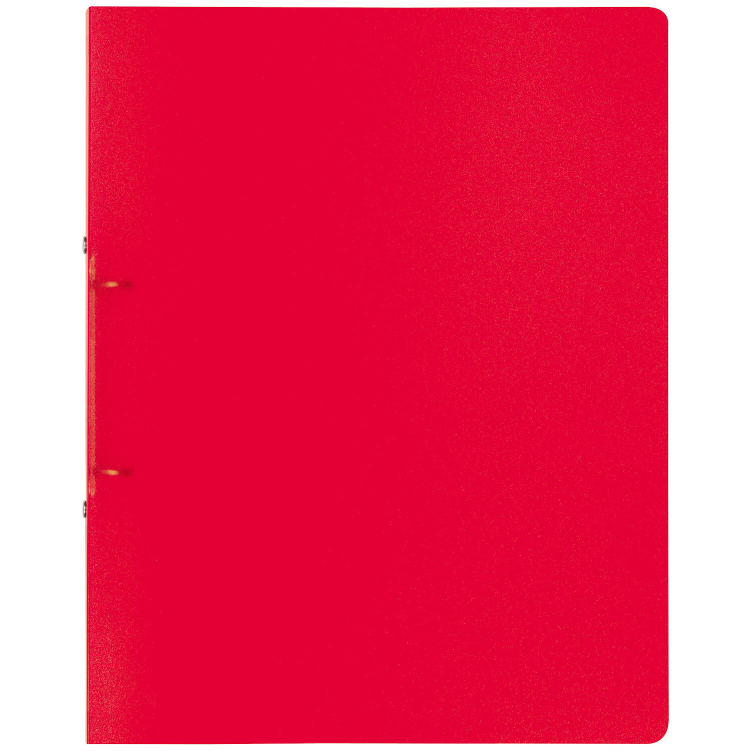 Ringbuch A4 FACT