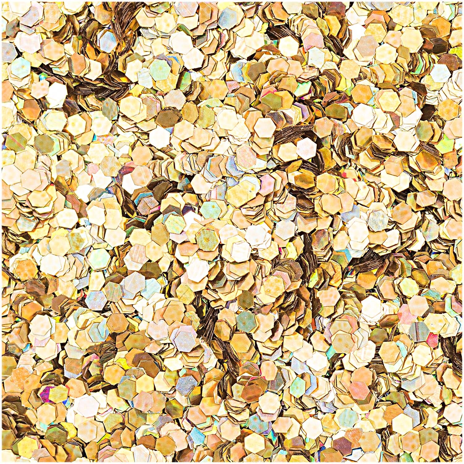 Hologramm Glitter große Flakes 17g
