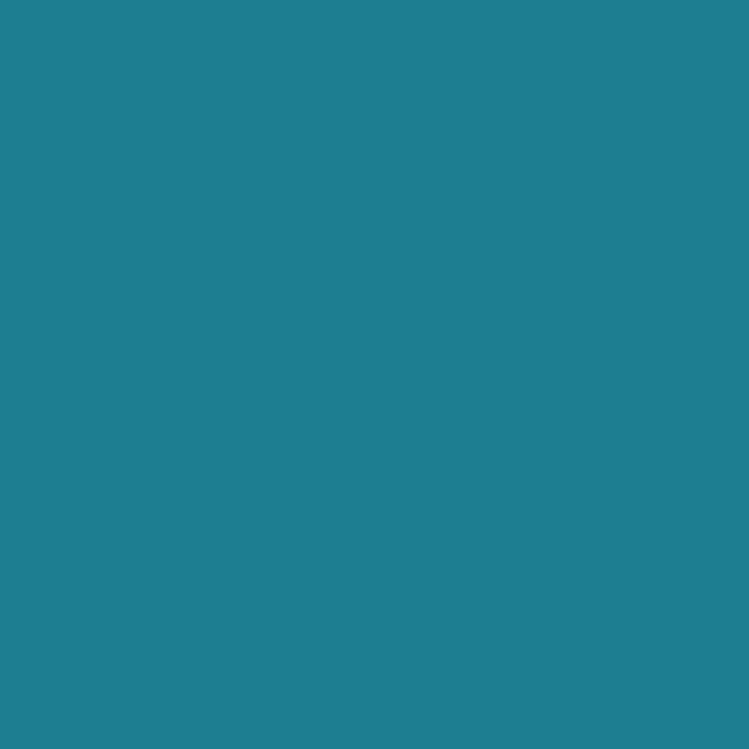 Premium Vinyl Permanent 30,5x122 cm Premium Vinyl Permanent 30,5x122 cm
