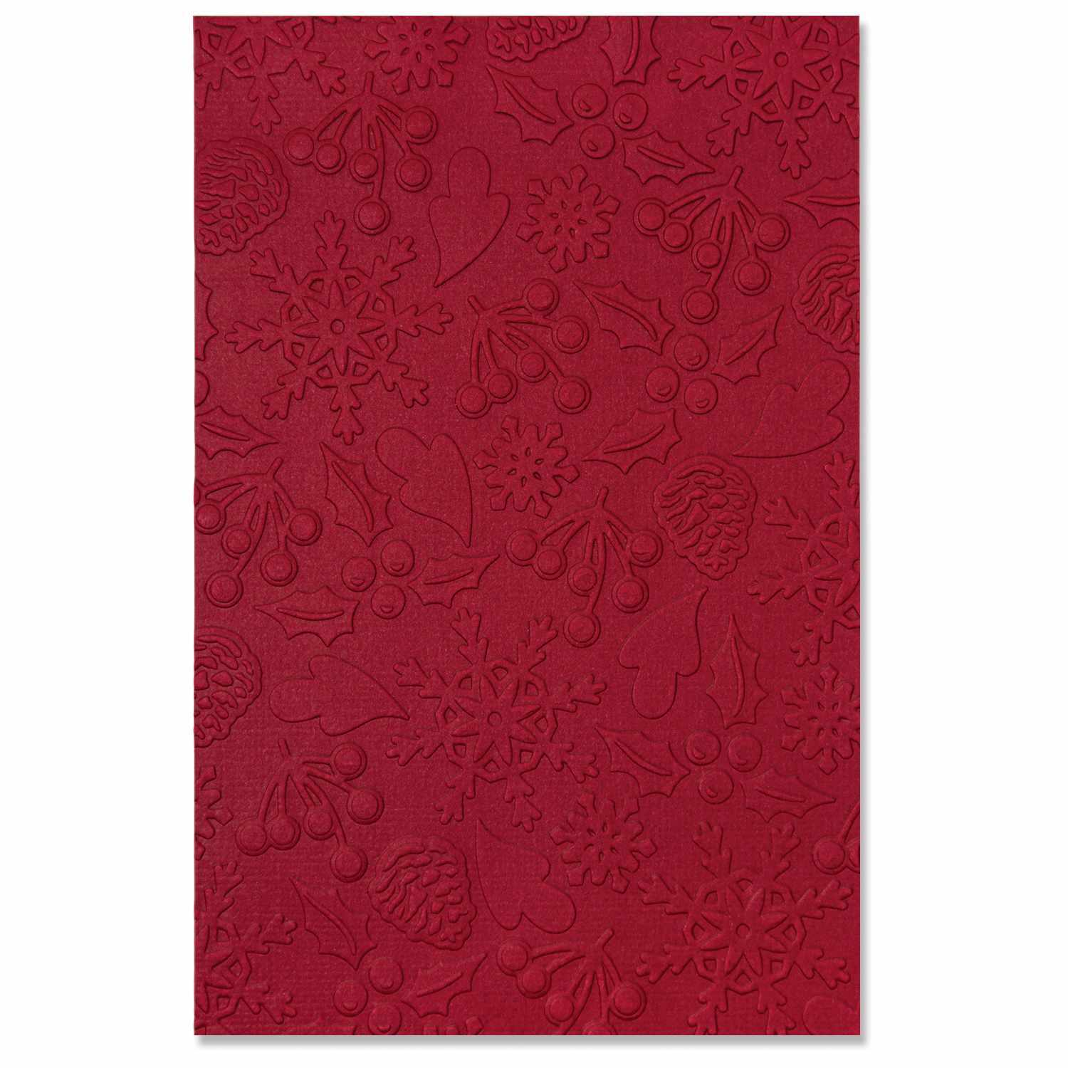 3D Textured Impressions Embossing Folder Winter Pattern by Jennifer Ogborn 3D Textured Impressions Embossing Folder Winter Pattern by Jennifer Ogborn