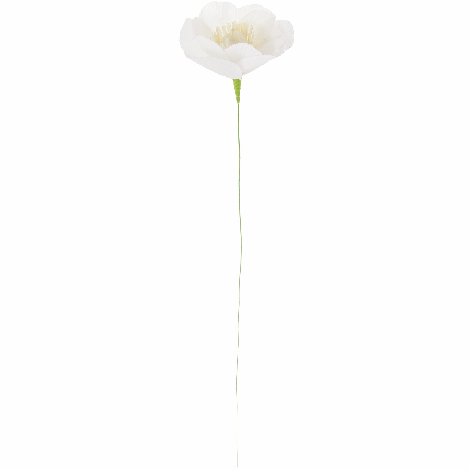 Papierblume Windröschen Hartweiß