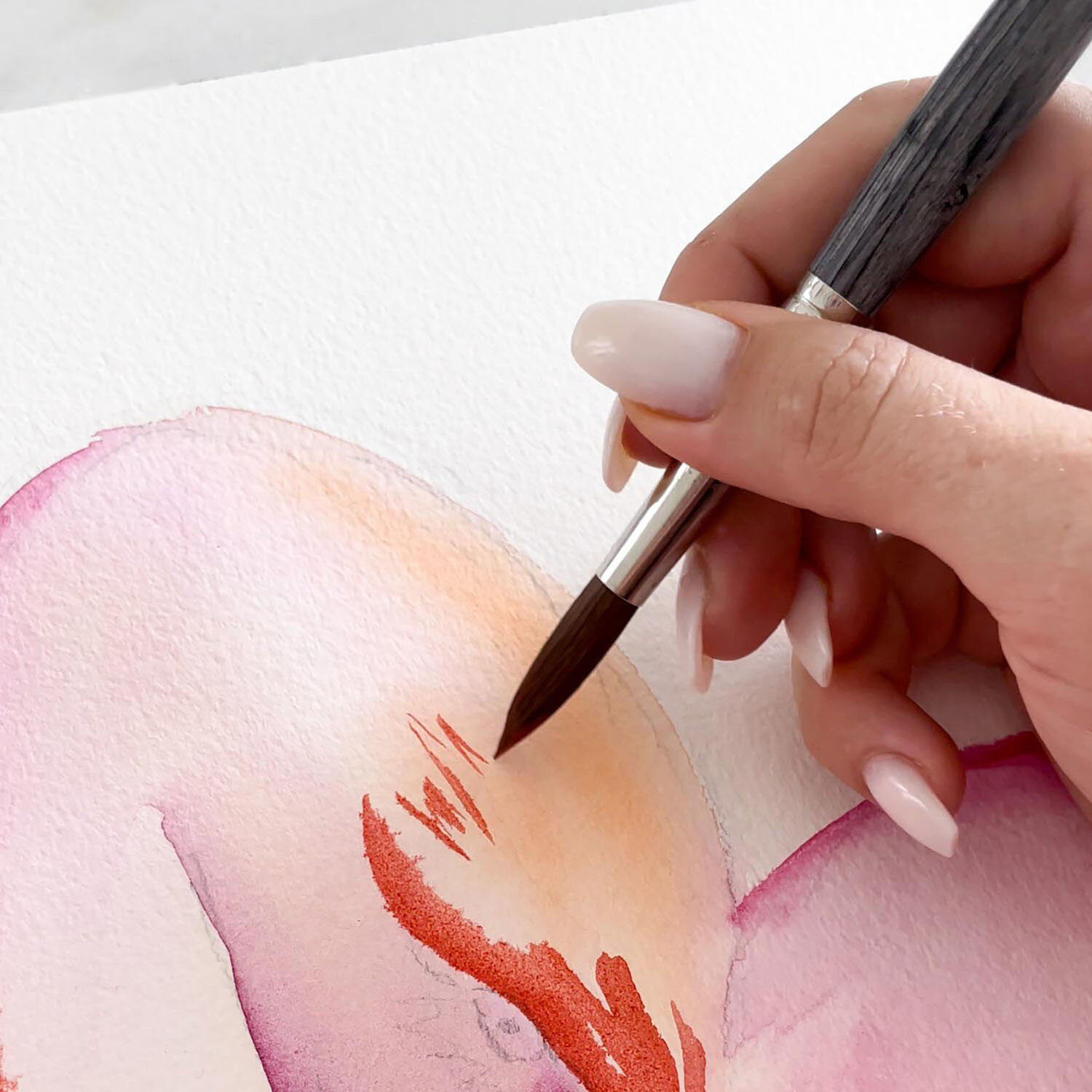 Colineo Aquarellpinsel rund Pinselgröße 12 von da Vinci Künstlerpinselfabrik DEFET 