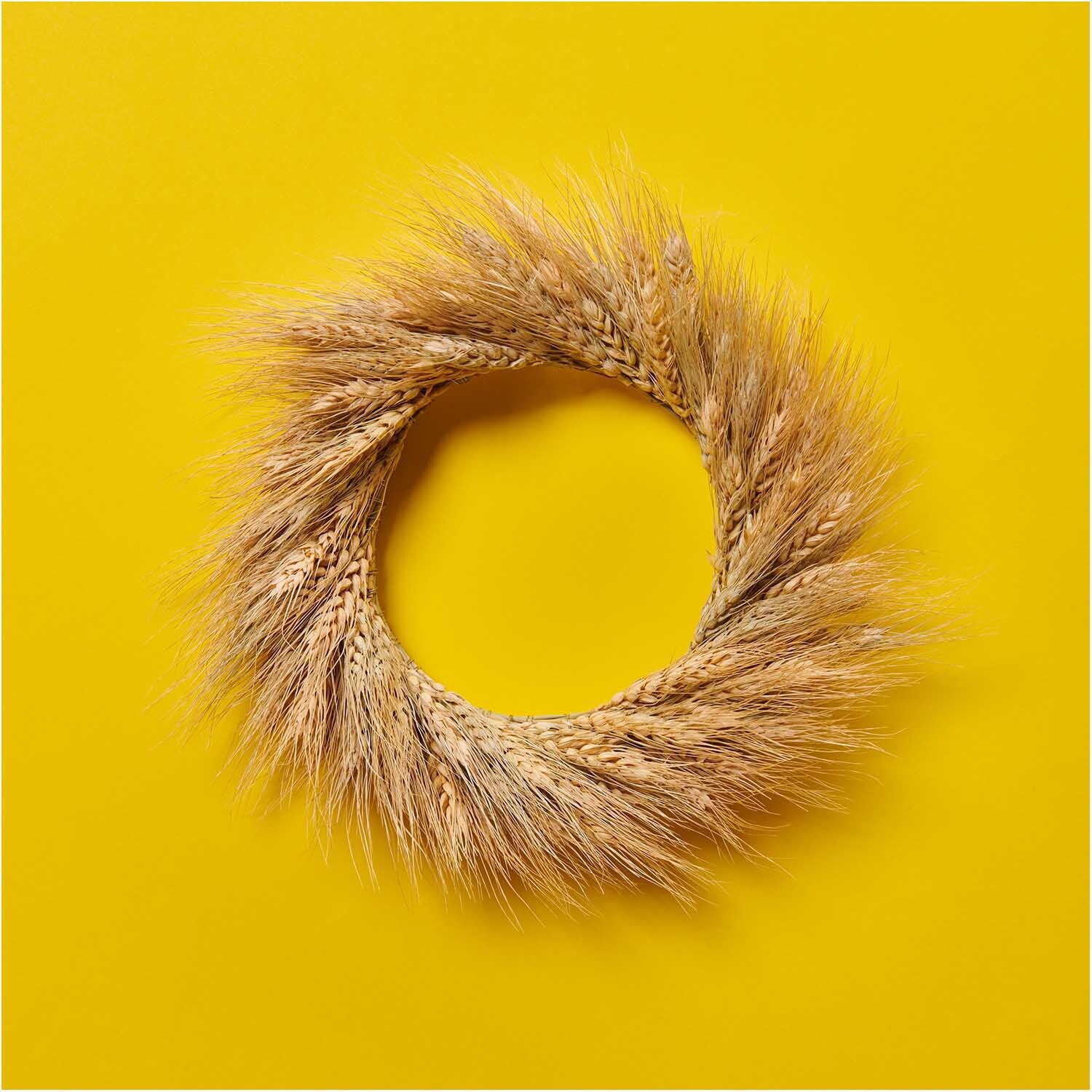Getrockneter Weizenbund natur 30cm 150g von Rico Design