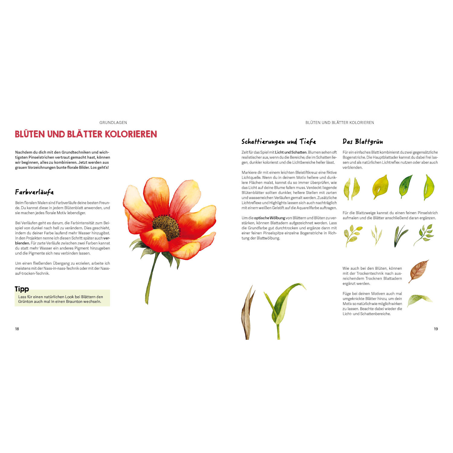 Mini Watercolor - Blumen: Doppelseite mit Anleitungen zum Kolorieren von Blüten und Blättern.